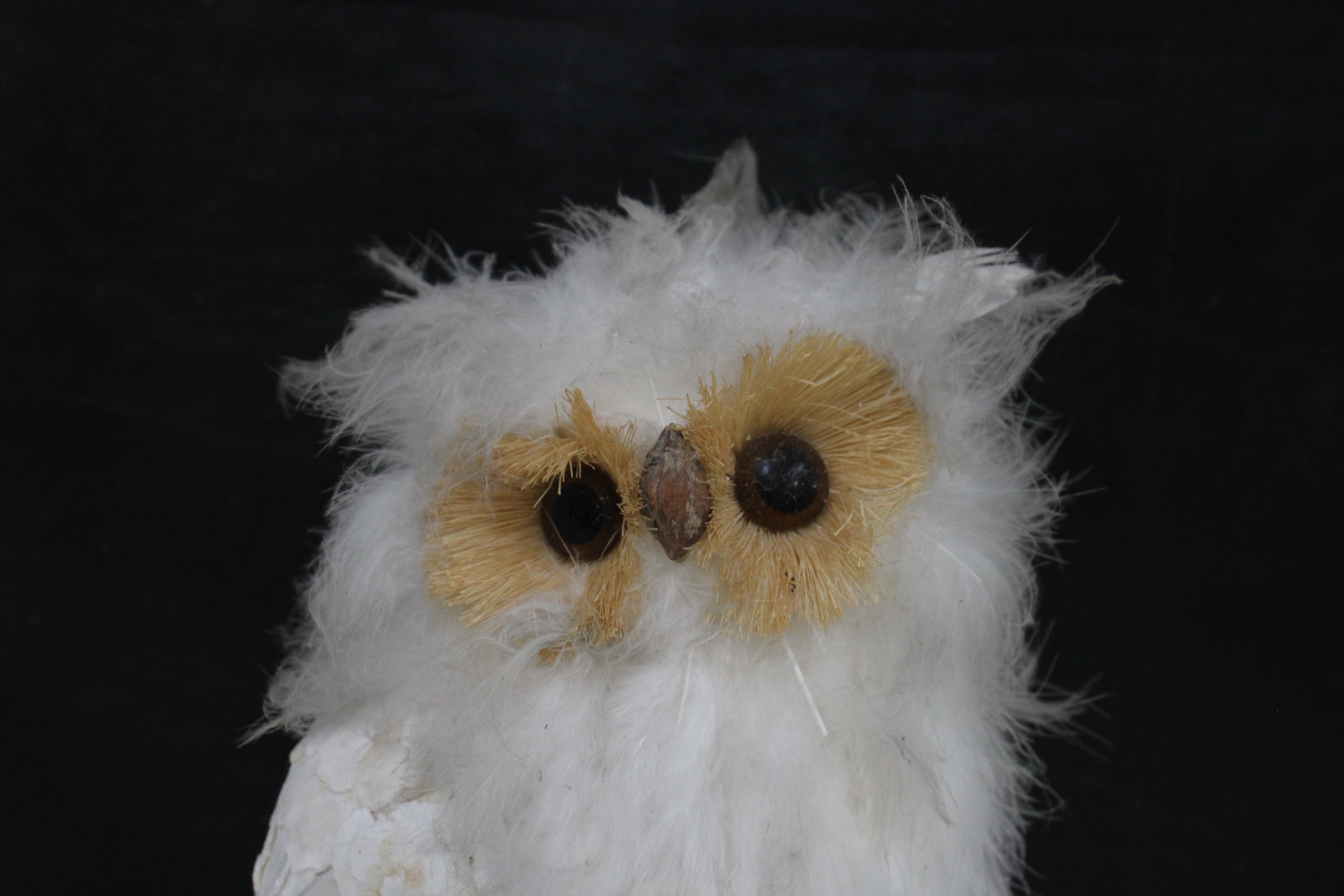 Decoratieve uil'' – foto 4 – kavel bij GSD Auctions, Zoeterwoude