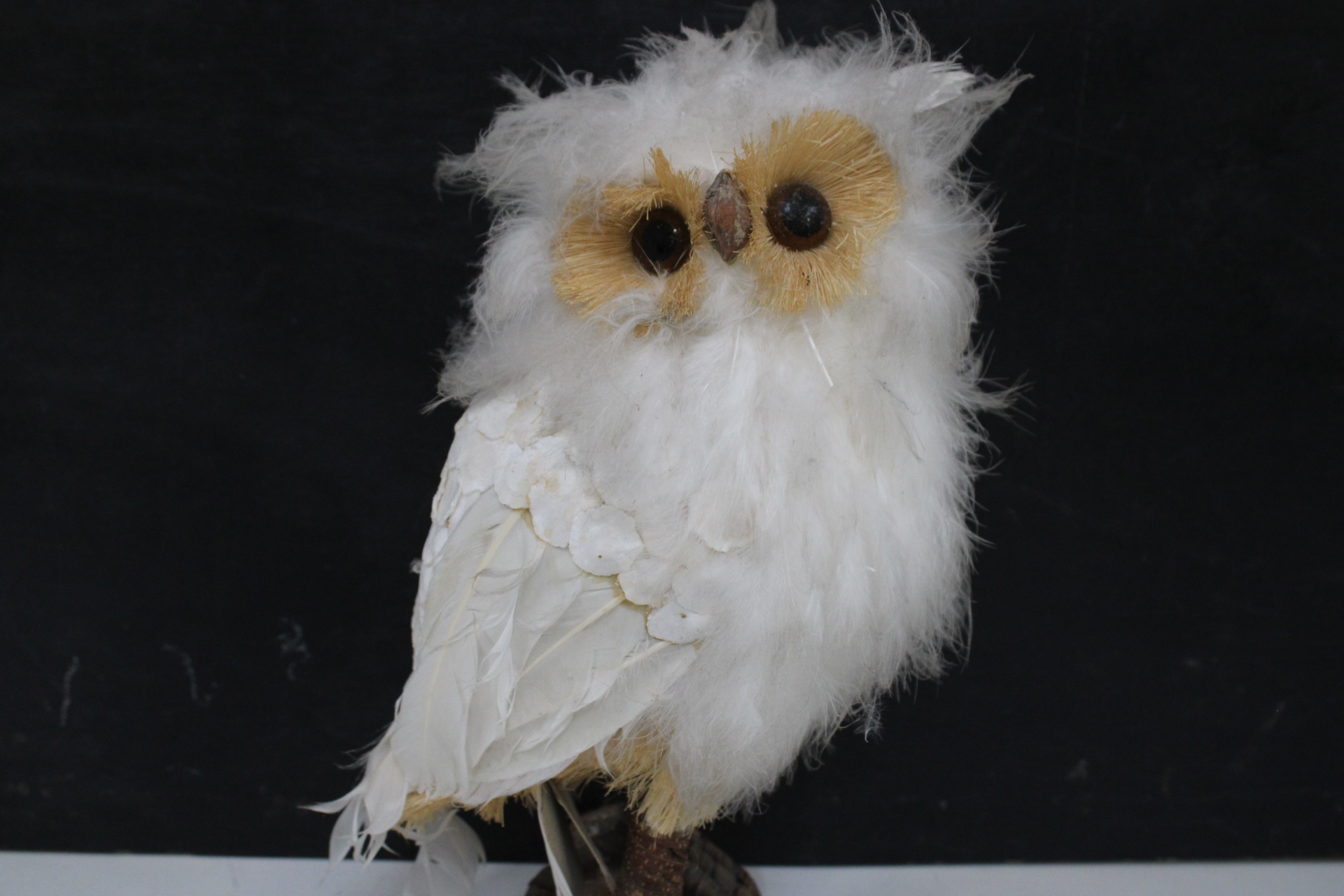 Decoratieve uil'' – foto 6 – kavel bij GSD Auctions, Zoeterwoude