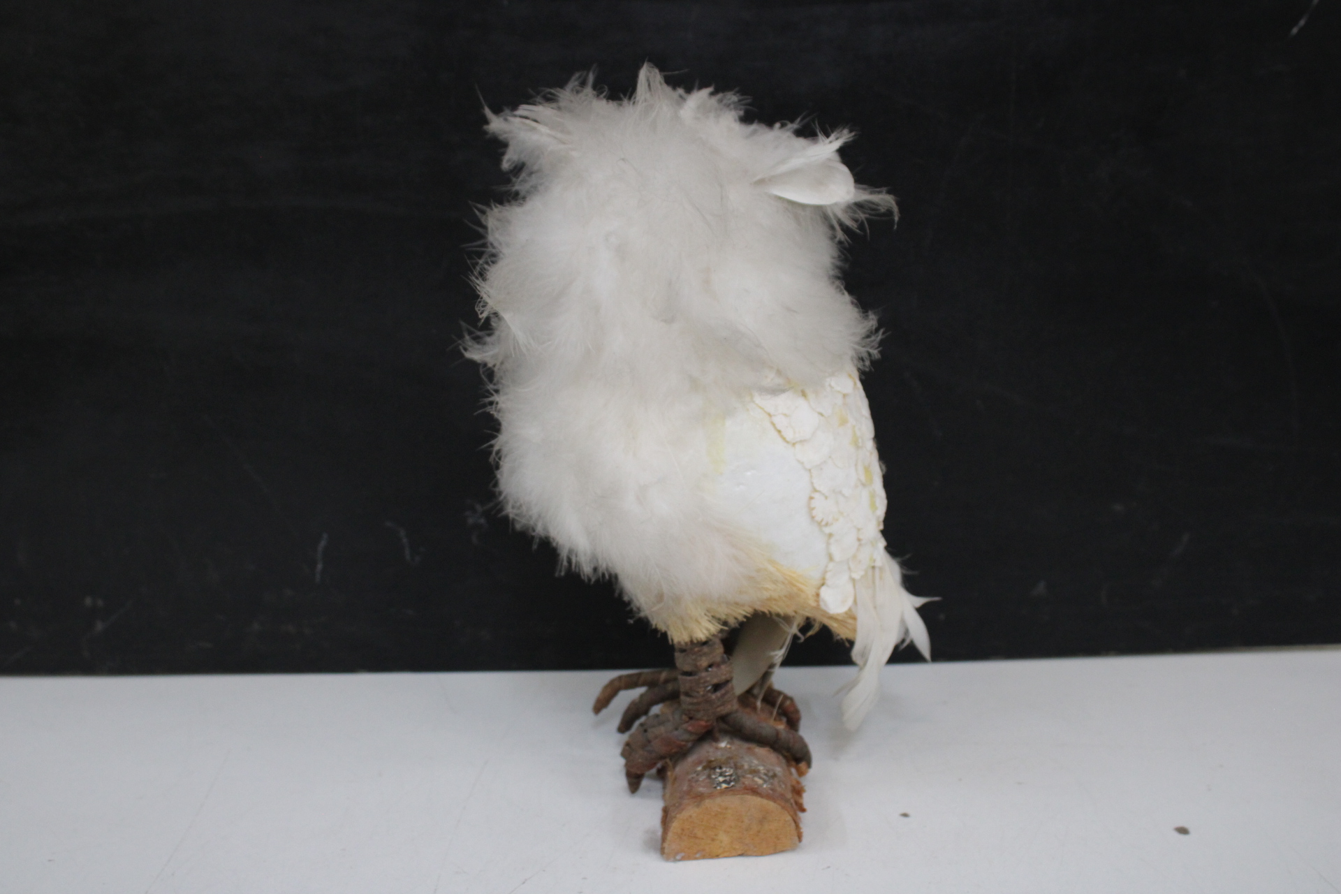 Decoratieve uil'' – foto 10 – kavel bij GSD Auctions, Zoeterwoude
