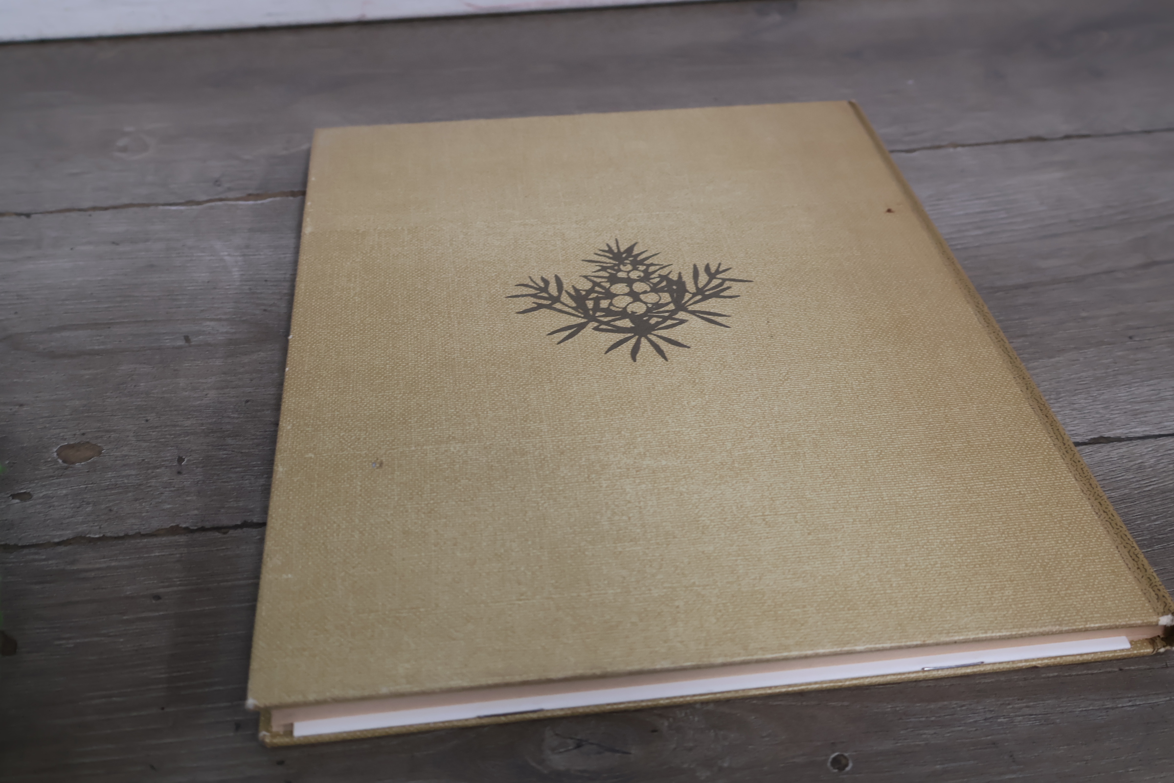 Boek Blonde Duinen van Jac.P.Thijss – foto 5 – kavel bij GSD Auctions, Zoeterwoude