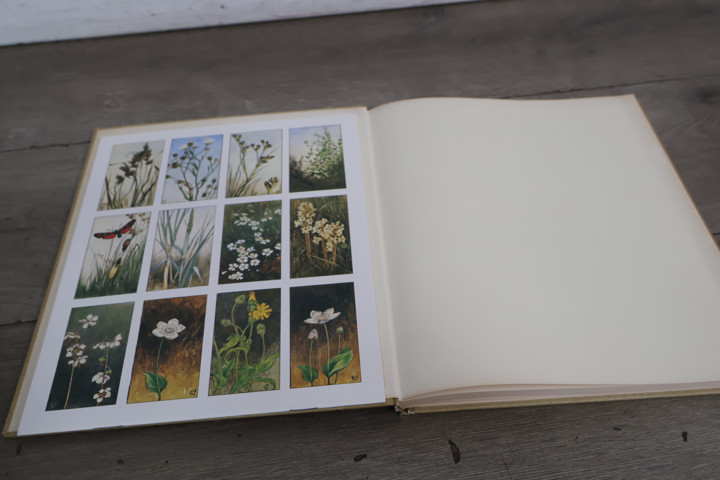 Boek Blonde Duinen van Jac.P.Thijss – foto 6 – kavel bij GSD Auctions, Zoeterwoude