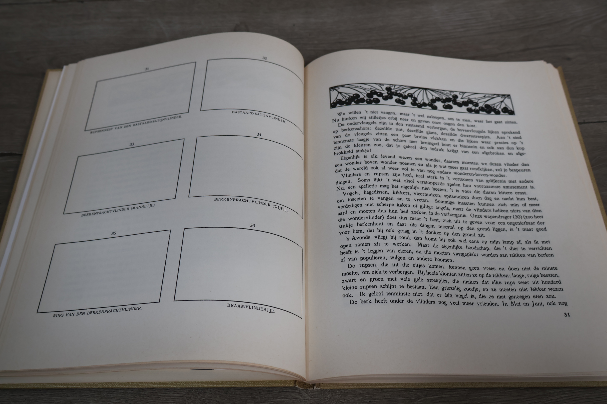 Boek Blonde Duinen van Jac.P.Thijss – foto 7 – kavel bij GSD Auctions, Zoeterwoude