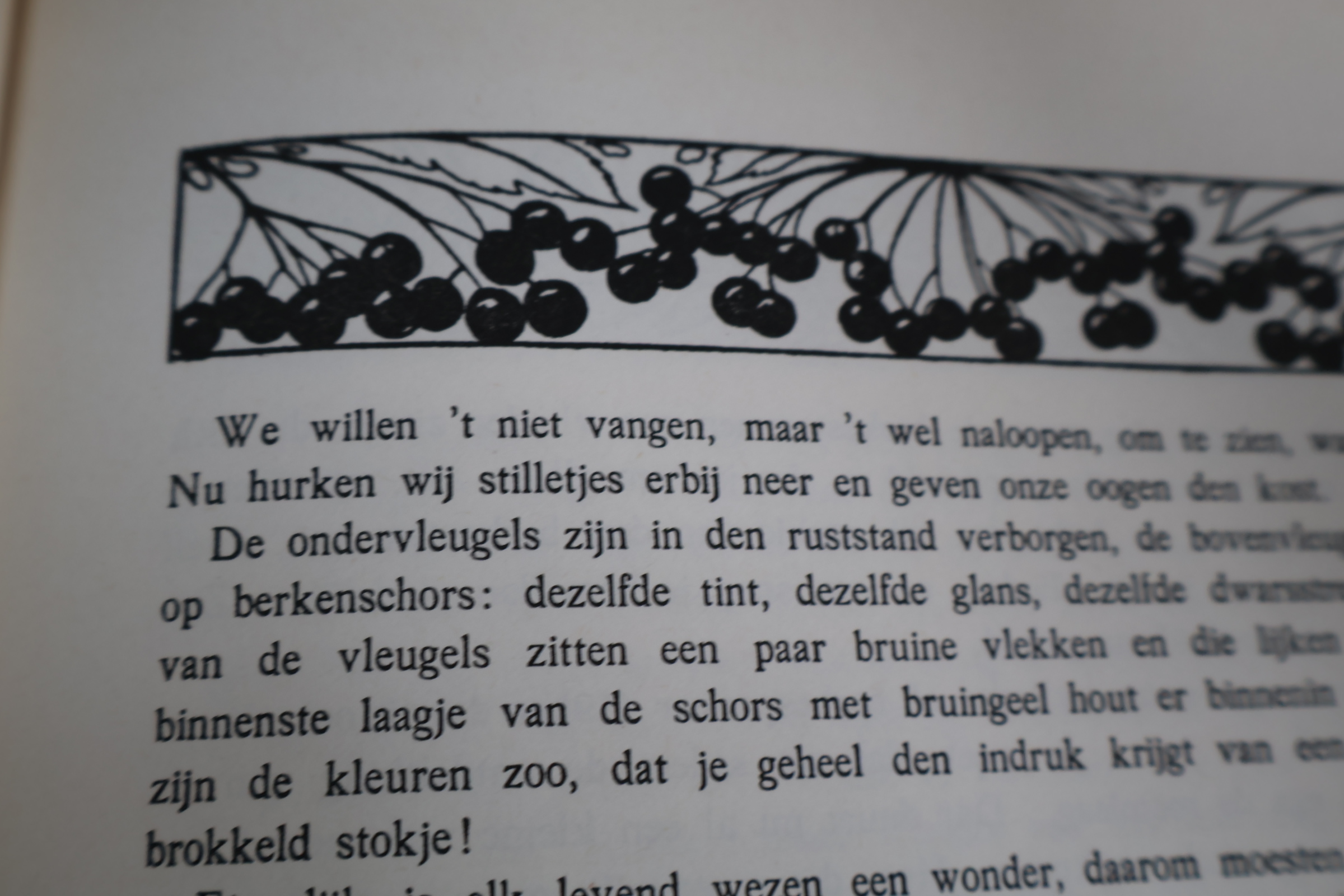 Boek Blonde Duinen van Jac.P.Thijss – foto 8 – kavel bij GSD Auctions, Zoeterwoude