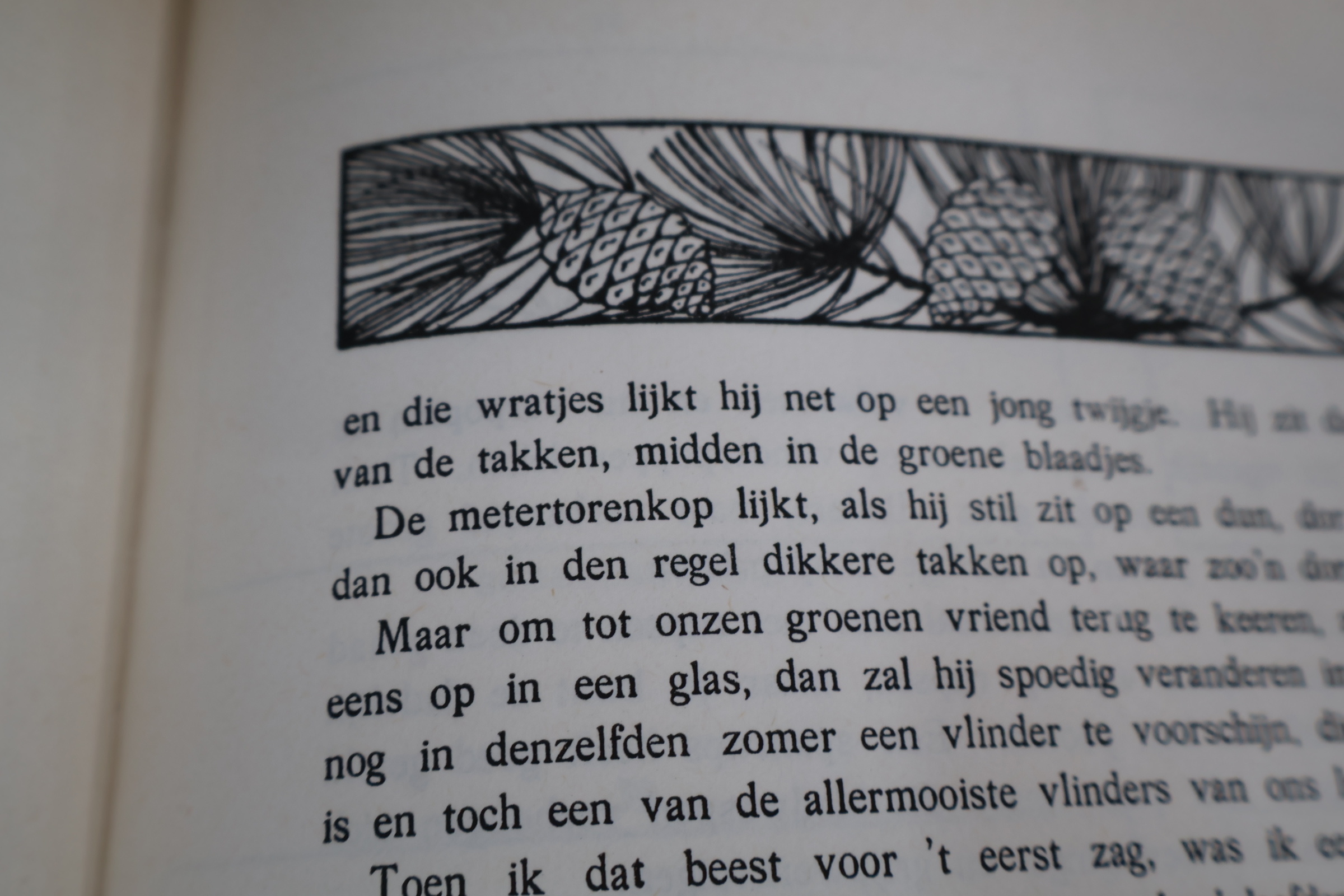 Boek Blonde Duinen van Jac.P.Thijss – foto 9 – kavel bij GSD Auctions, Zoeterwoude