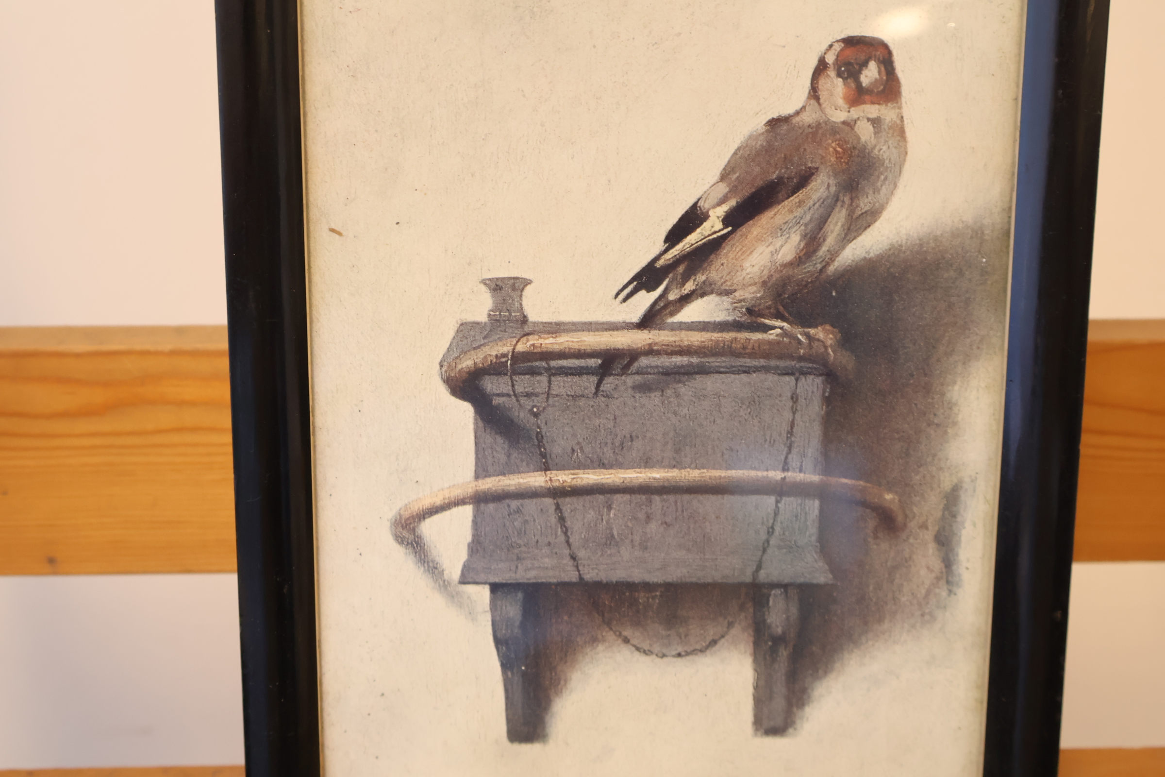 Ingelijste schilderij van een Europese goudvink – foto 6 – kavel bij GSD Auctions, Zoeterwoude
