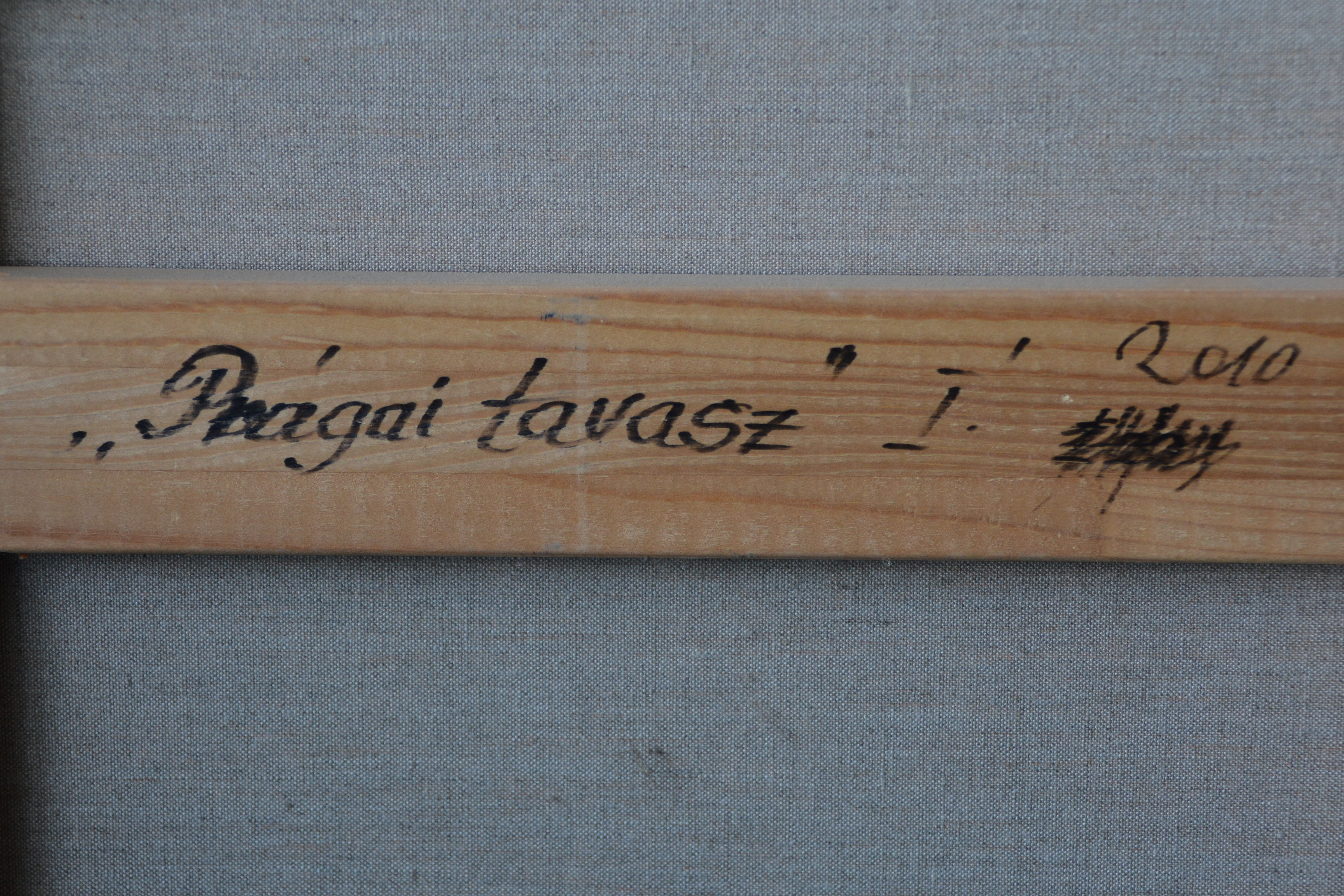 Schilderij van J. Bittenberger: 'Prágai tavasz I'. 2010 – foto 9 – kavel bij GSD Auctions, Zoeterwoude
