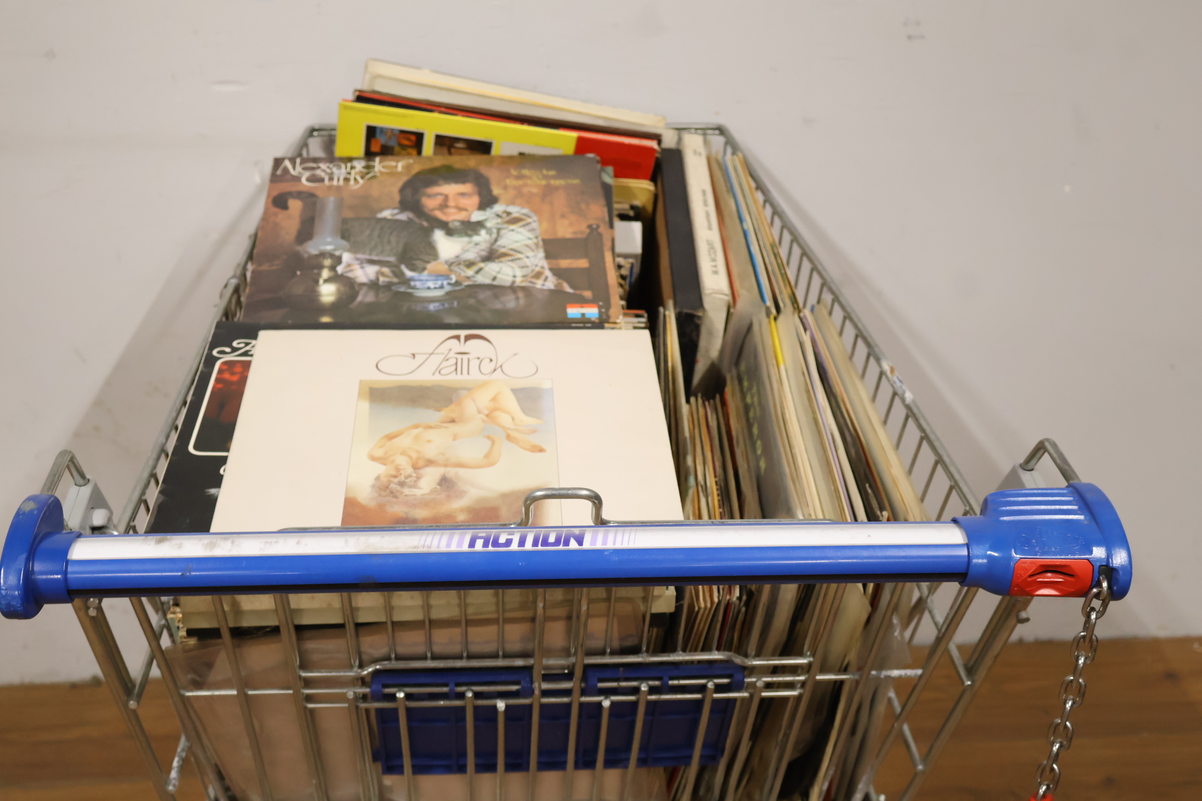 Assortiment vinyl platen in boodschappenwagentje – foto 4 – kavel bij GSD Auctions, Zoeterwoude
