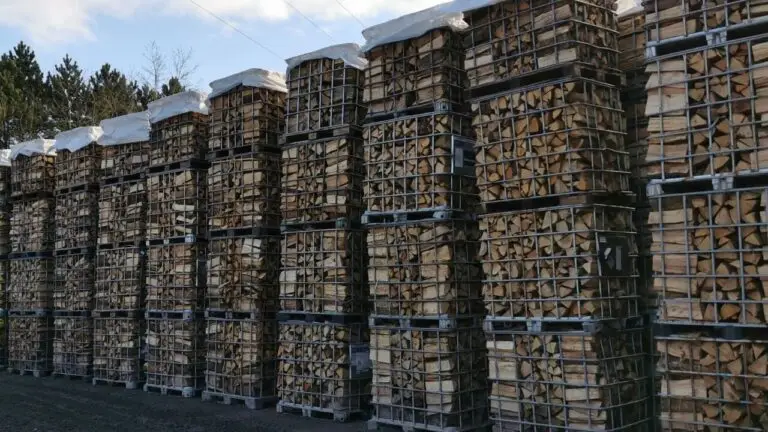 Haardhout mix Eik/Beuk/Es – foto 3 – kavel bij GSD Auctions, Zoeterwoude