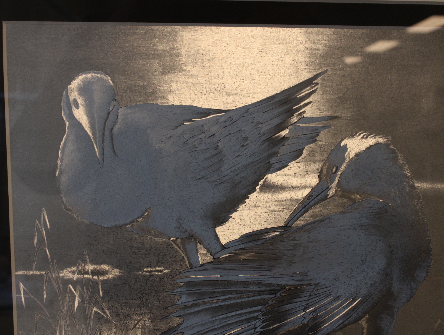 Ingelijste print van vogels' – foto 8 – kavel bij GSD Auctions, Zoeterwoude