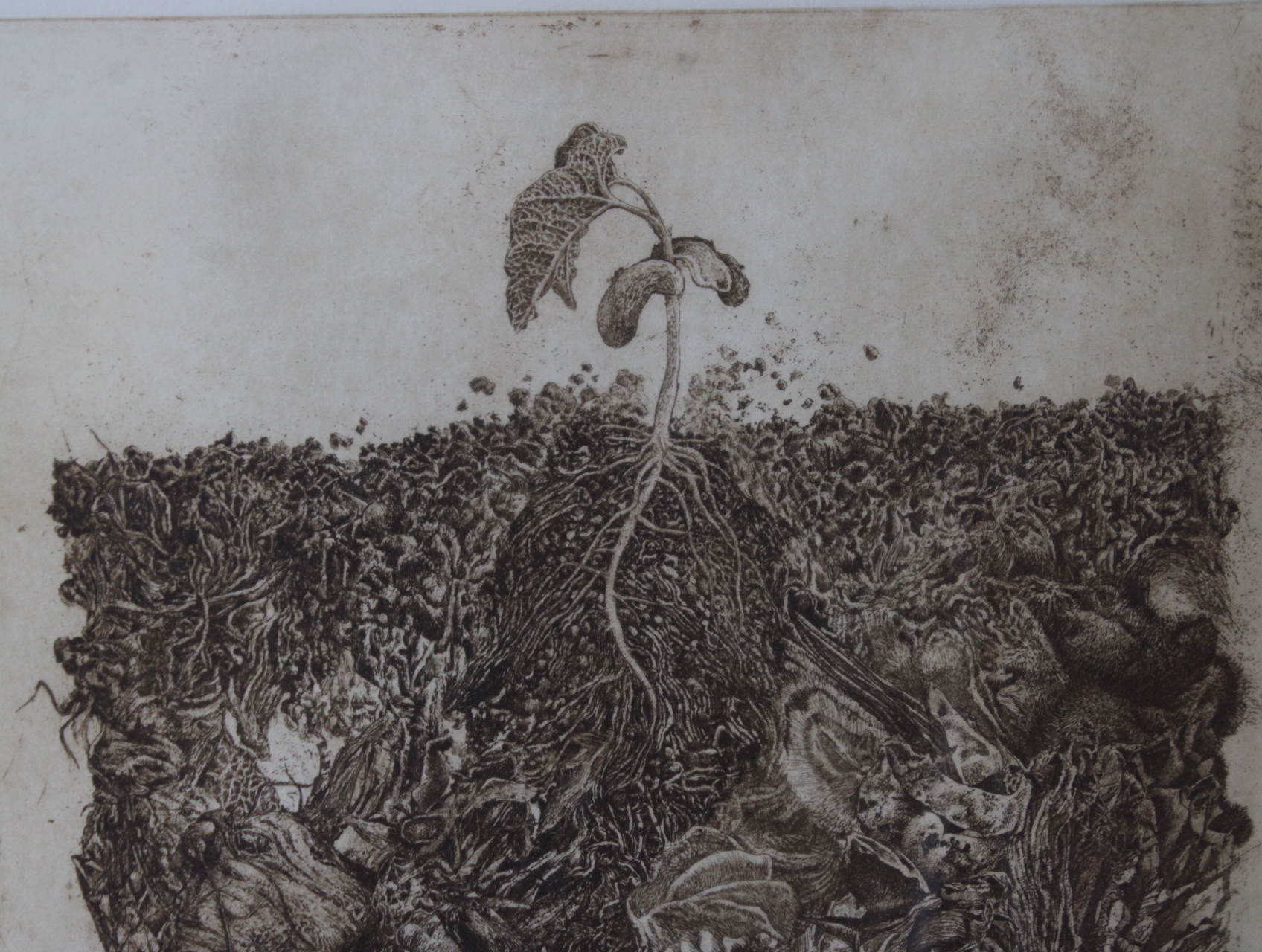 Grafiek 'Compost' door Yolanda Gortera, 1978 – foto 8 – kavel bij GSD Auctions, Zoeterwoude