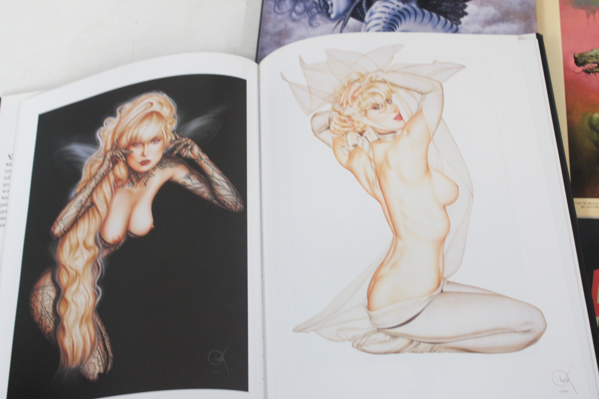 Boeken over fantasy en erotische kunst van Olivia en Boris Vallejo – foto 3 – kavel bij GSD Auctions, Zoeterwoude