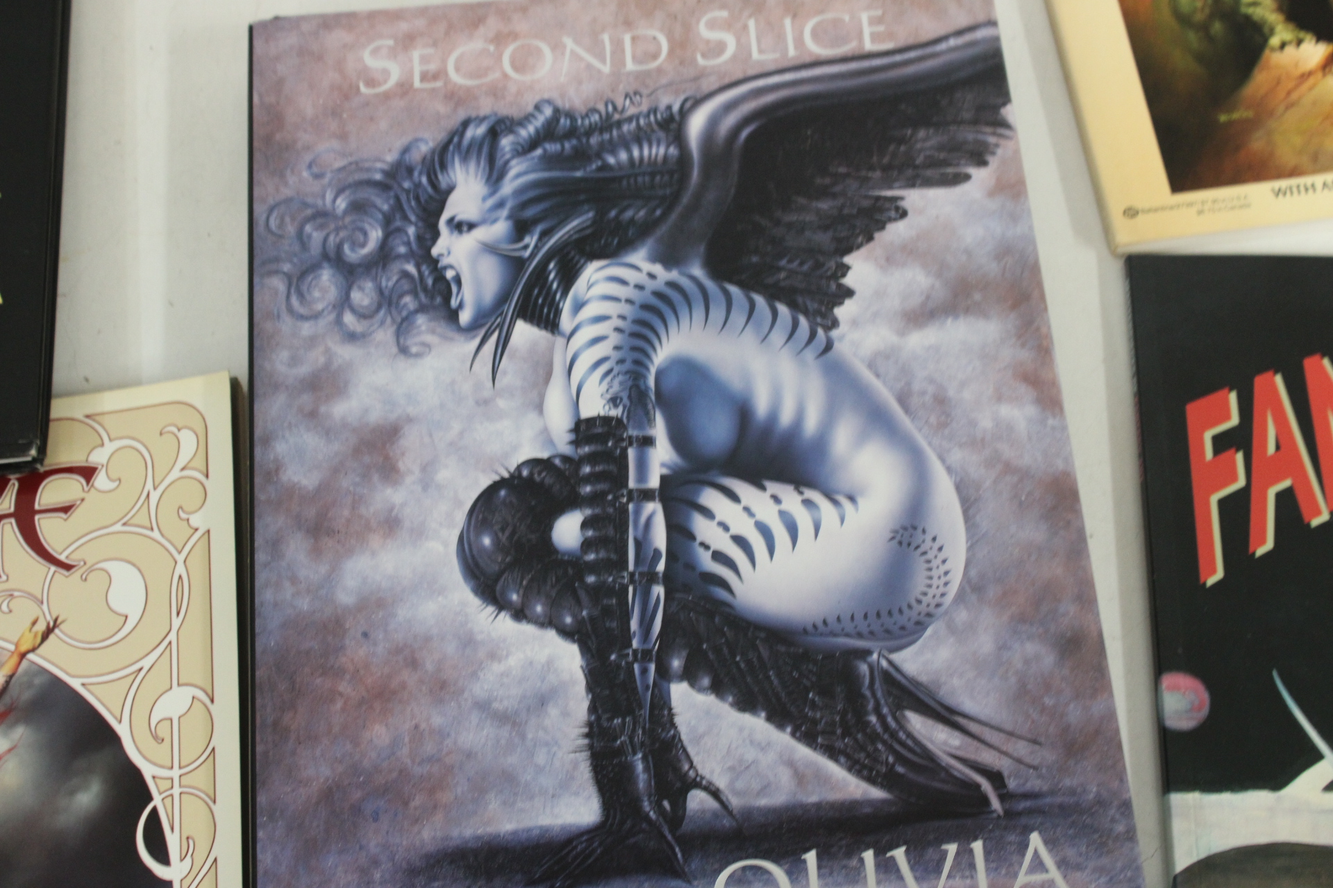 Boeken over fantasy en erotische kunst van Olivia en Boris Vallejo – foto 4 – kavel bij GSD Auctions, Zoeterwoude