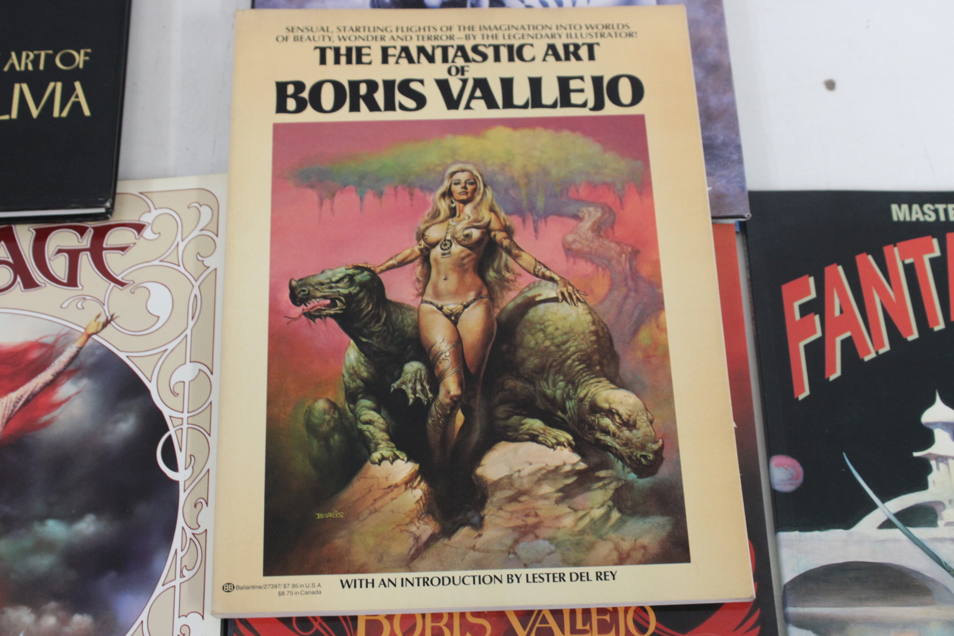 Boeken over fantasy en erotische kunst van Olivia en Boris Vallejo – foto 6 – kavel bij GSD Auctions, Zoeterwoude