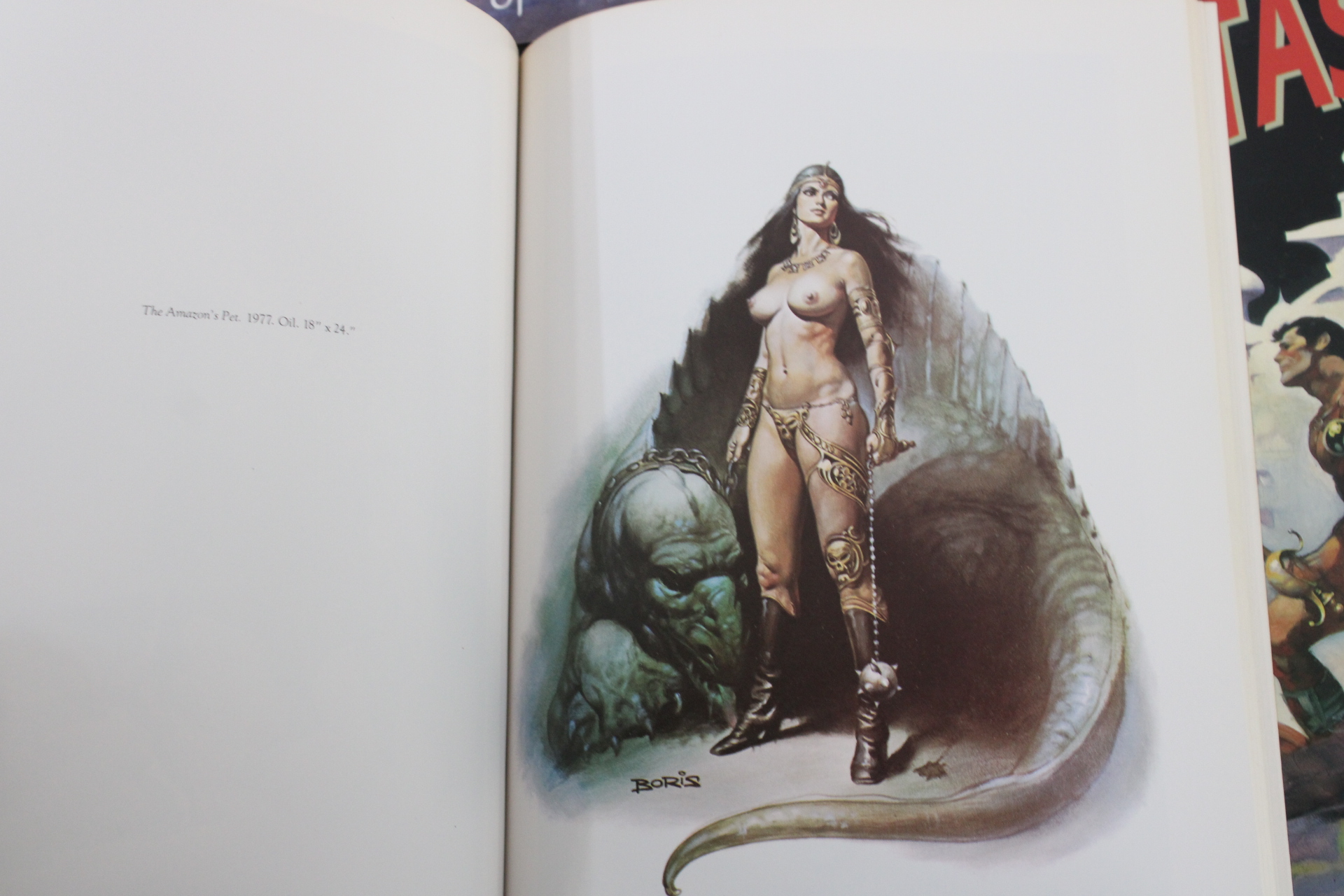 Boeken over fantasy en erotische kunst van Olivia en Boris Vallejo – foto 7 – kavel bij GSD Auctions, Zoeterwoude