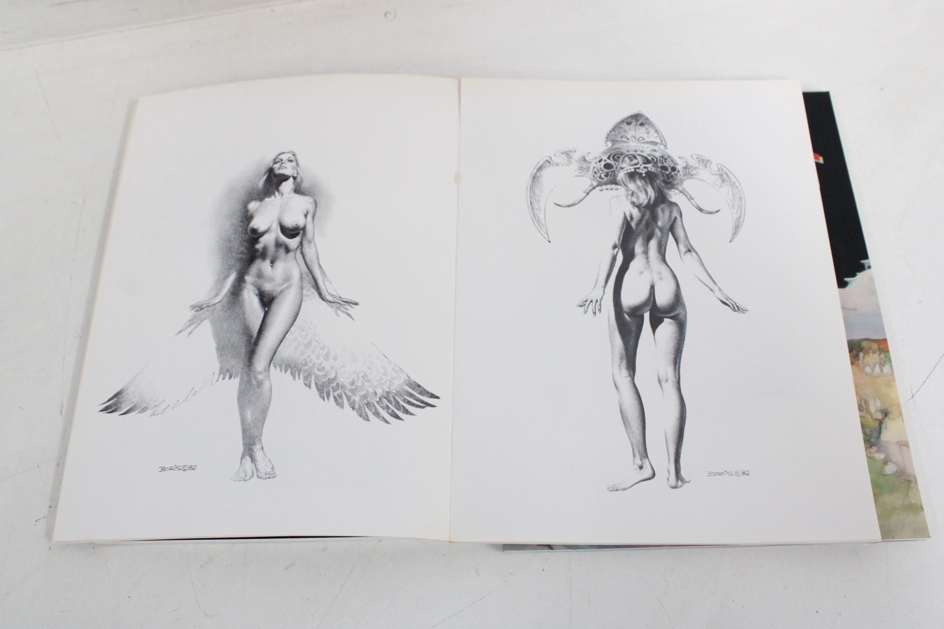 Boeken over fantasy en erotische kunst van Olivia en Boris Vallejo – foto 9 – kavel bij GSD Auctions, Zoeterwoude