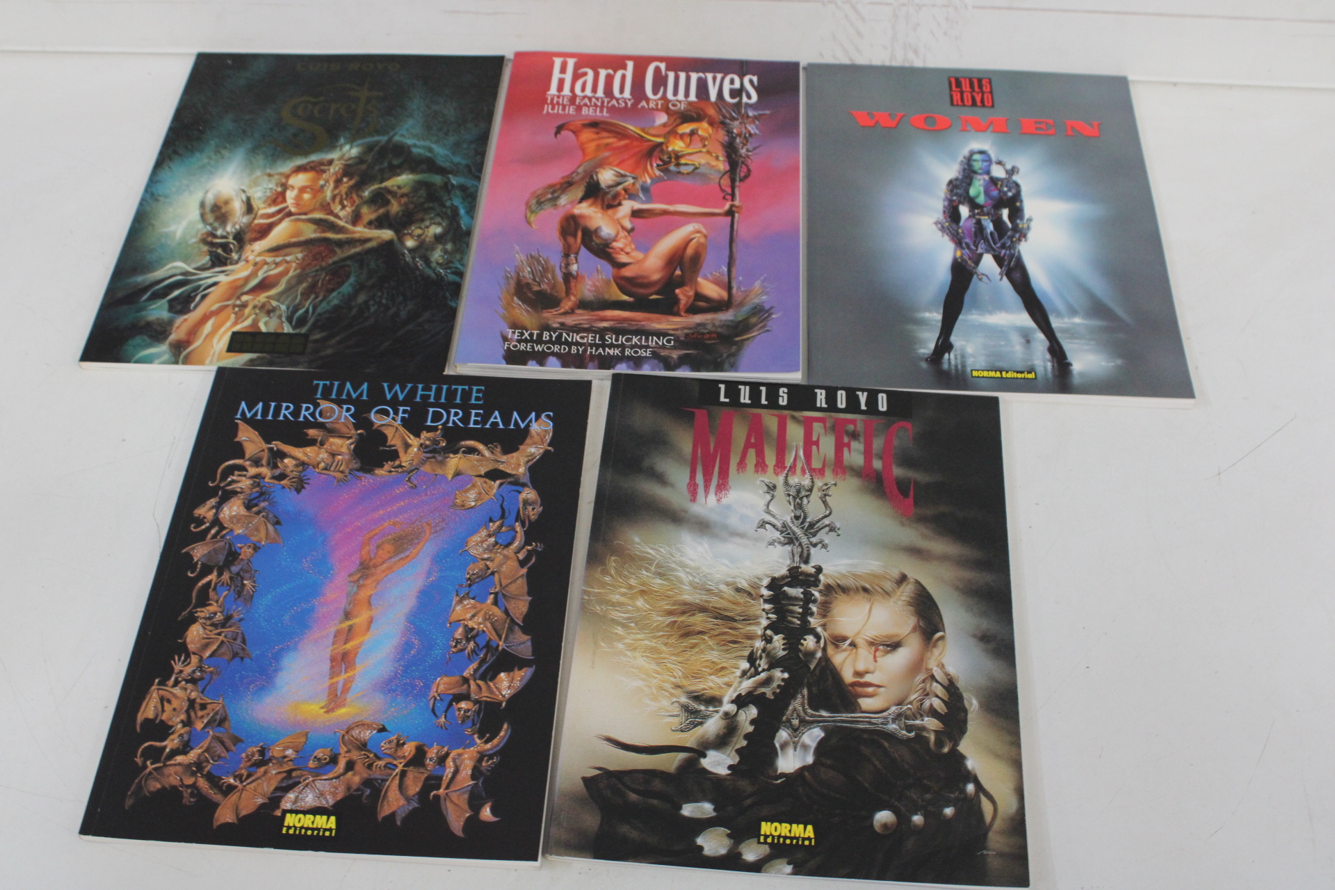 Boeken over fantasy en kunst van Lilis Royo en Tim White – kavel bij GSD Auctions, Zoeterwoude