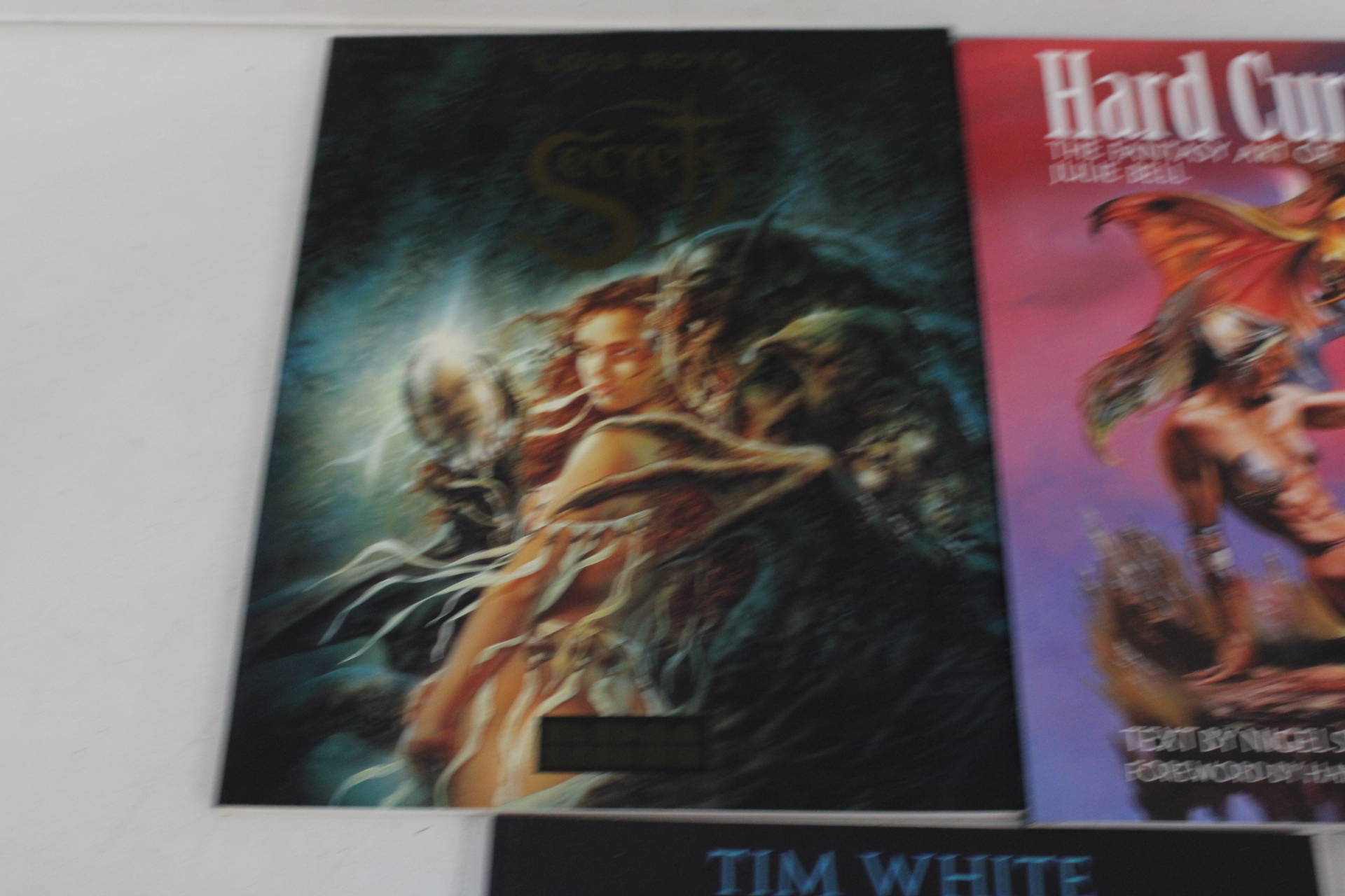 Boeken over fantasy en kunst van Lilis Royo en Tim White – foto 2 – kavel bij GSD Auctions, Zoeterwoude