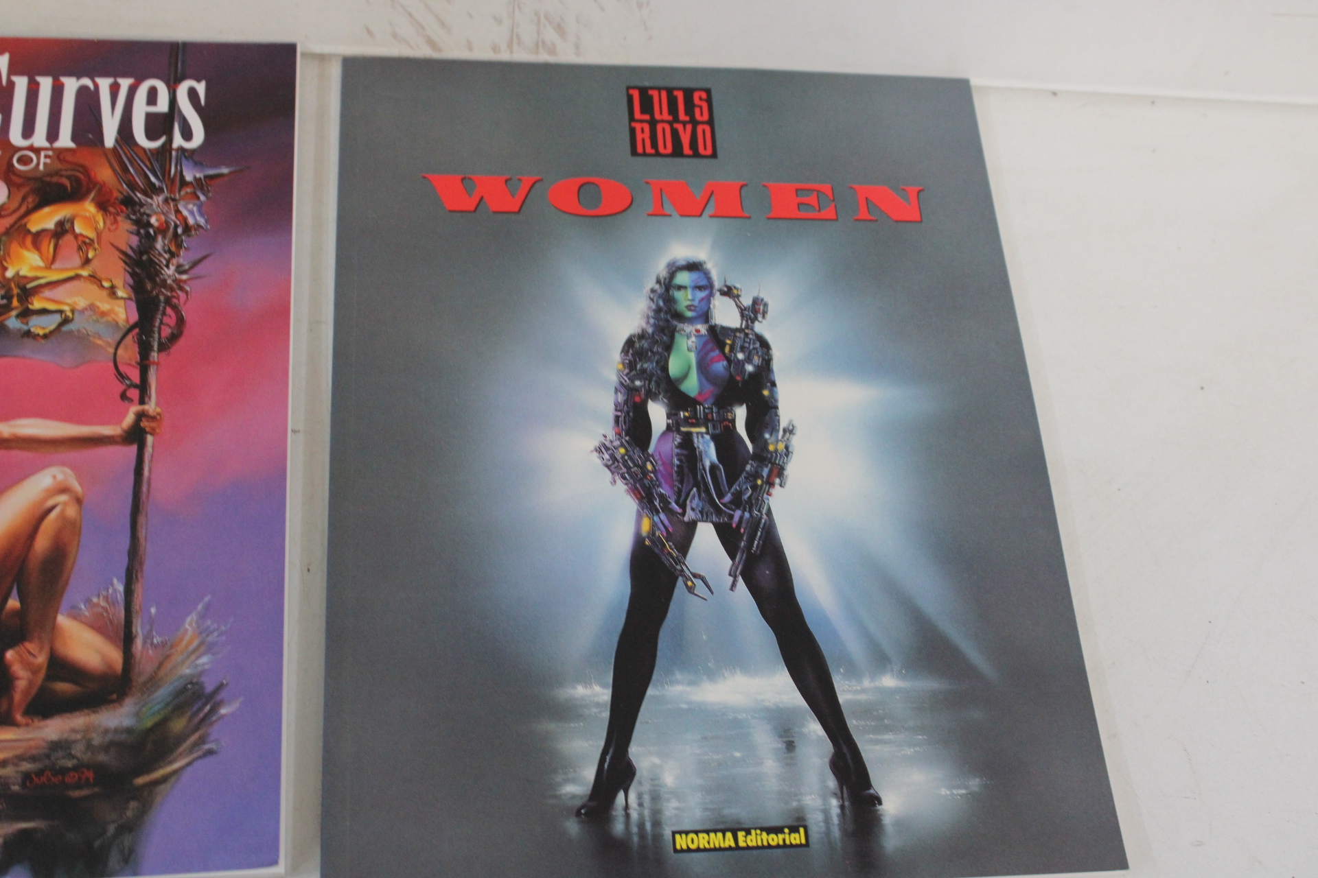 Boeken over fantasy en kunst van Lilis Royo en Tim White – foto 4 – kavel bij GSD Auctions, Zoeterwoude
