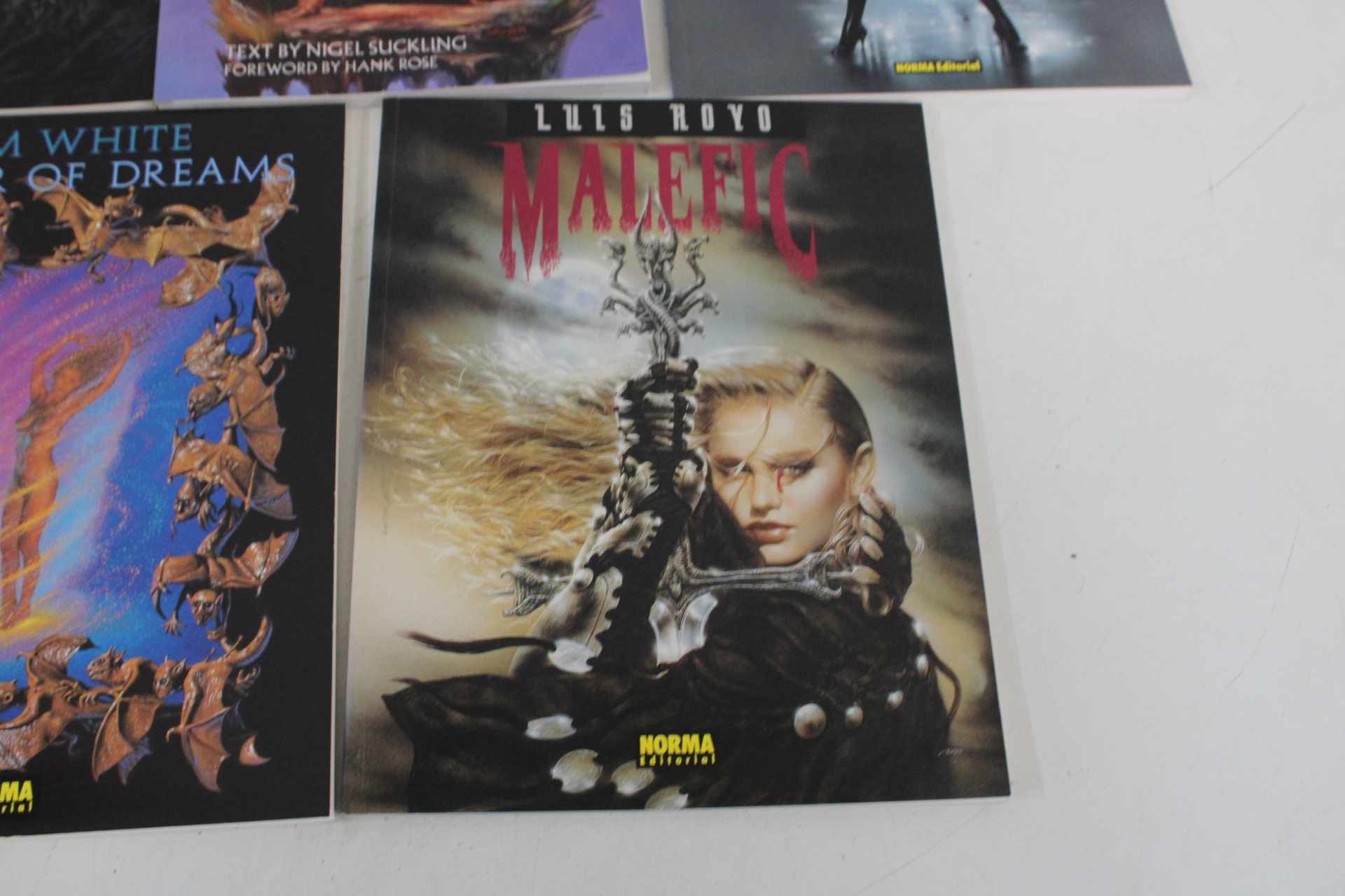 Boeken over fantasy en kunst van Lilis Royo en Tim White – foto 5 – kavel bij GSD Auctions, Zoeterwoude