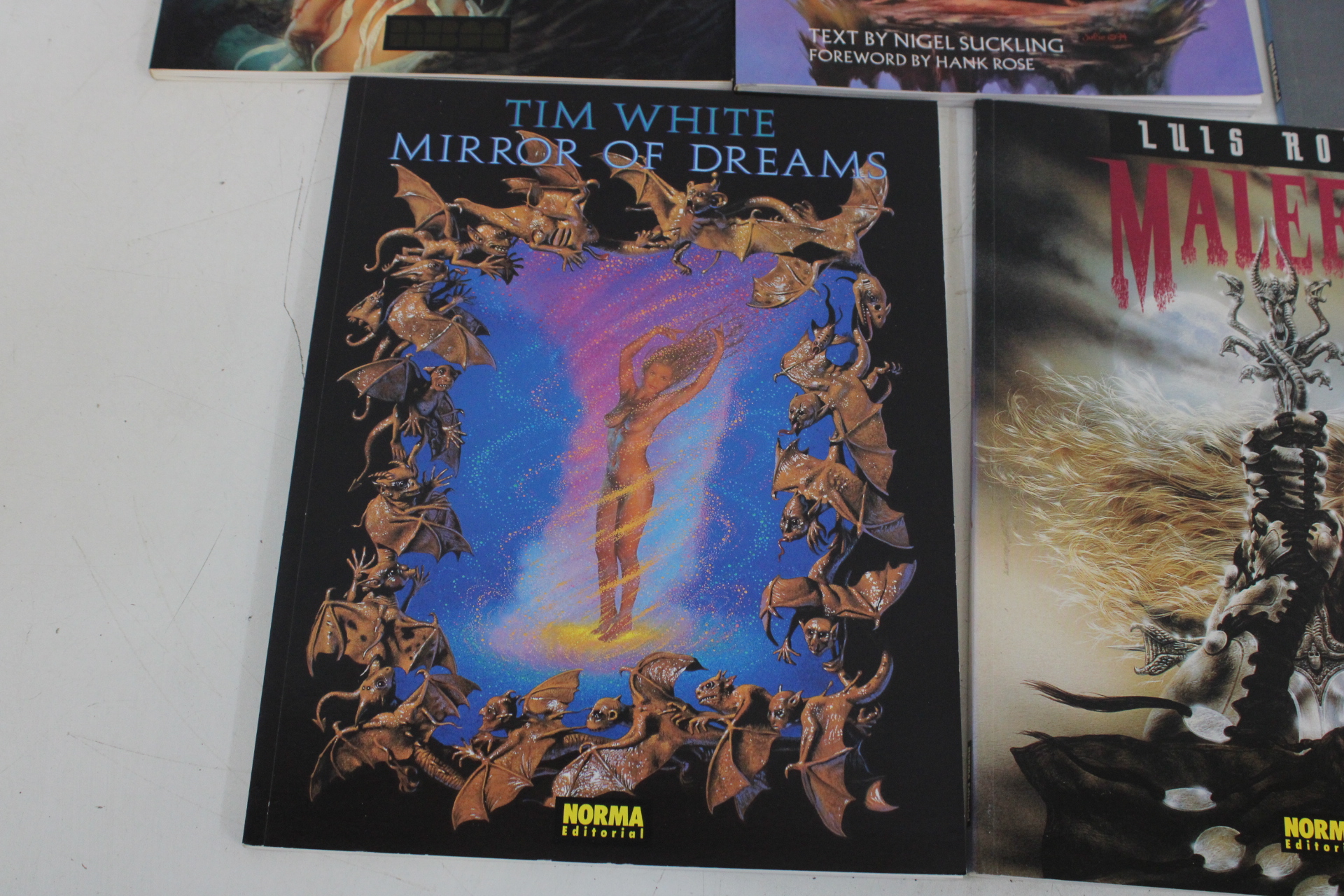 Boeken over fantasy en kunst van Lilis Royo en Tim White – foto 6 – kavel bij GSD Auctions, Zoeterwoude