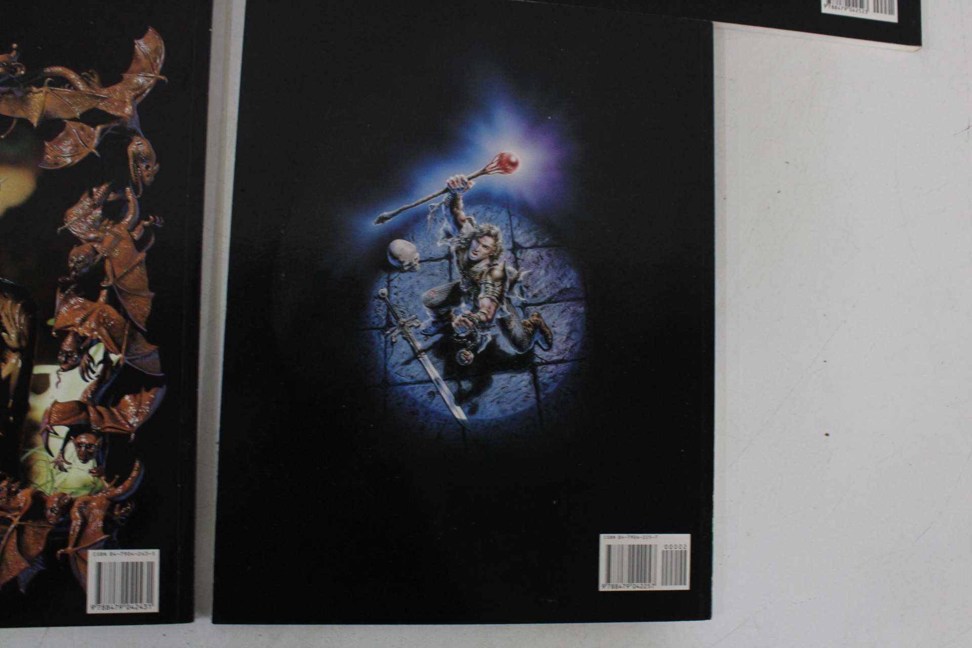 Boeken over fantasy en kunst van Lilis Royo en Tim White – foto 10 – kavel bij GSD Auctions, Zoeterwoude