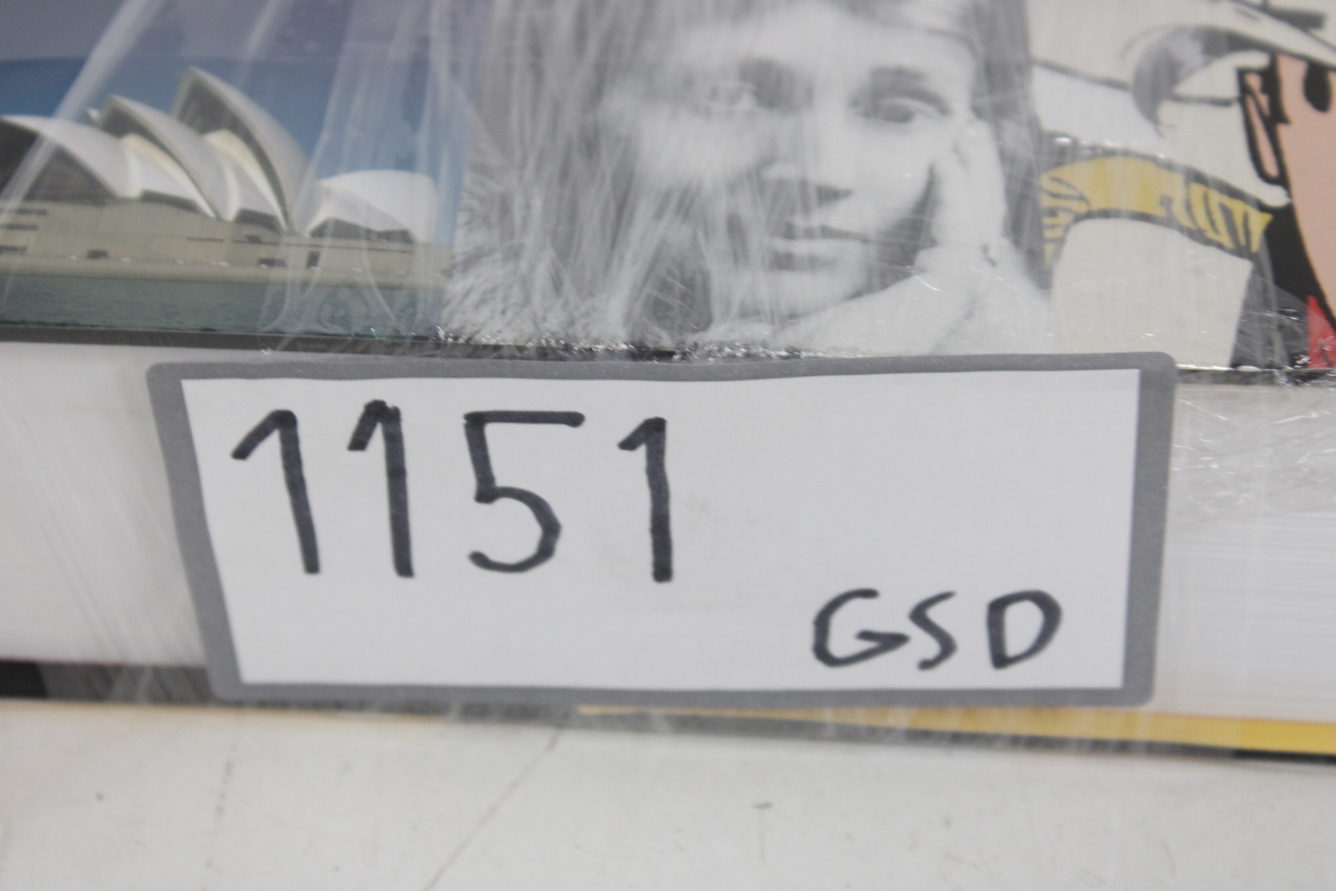 Nieuw Cultureel Woordenboek Anthos – foto 5 – kavel bij GSD Auctions, Zoeterwoude