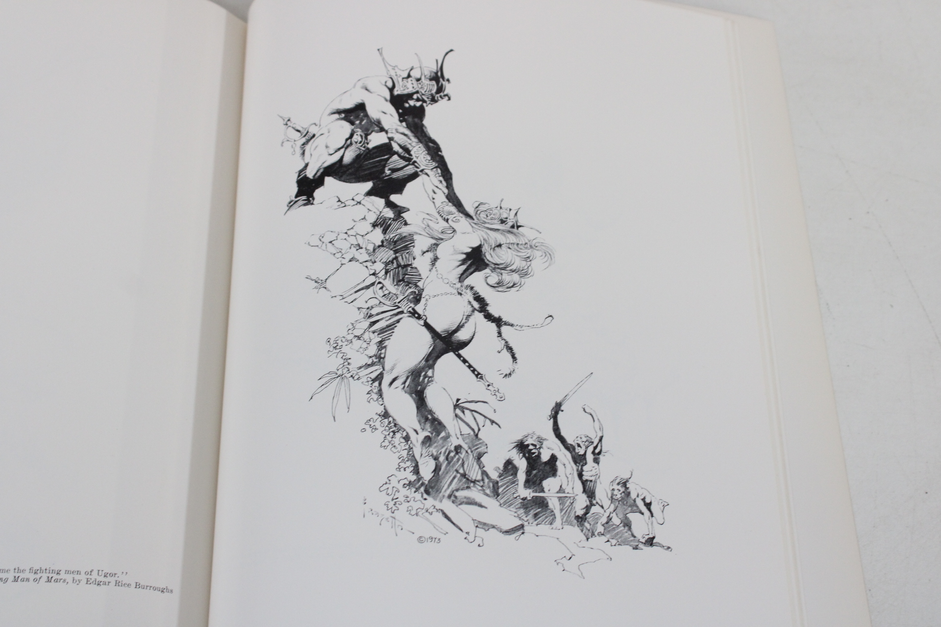 Boeken over Frank Frazetta en Boris Vallejo Fantasy Art – foto 7 – kavel bij GSD Auctions, Zoeterwoude