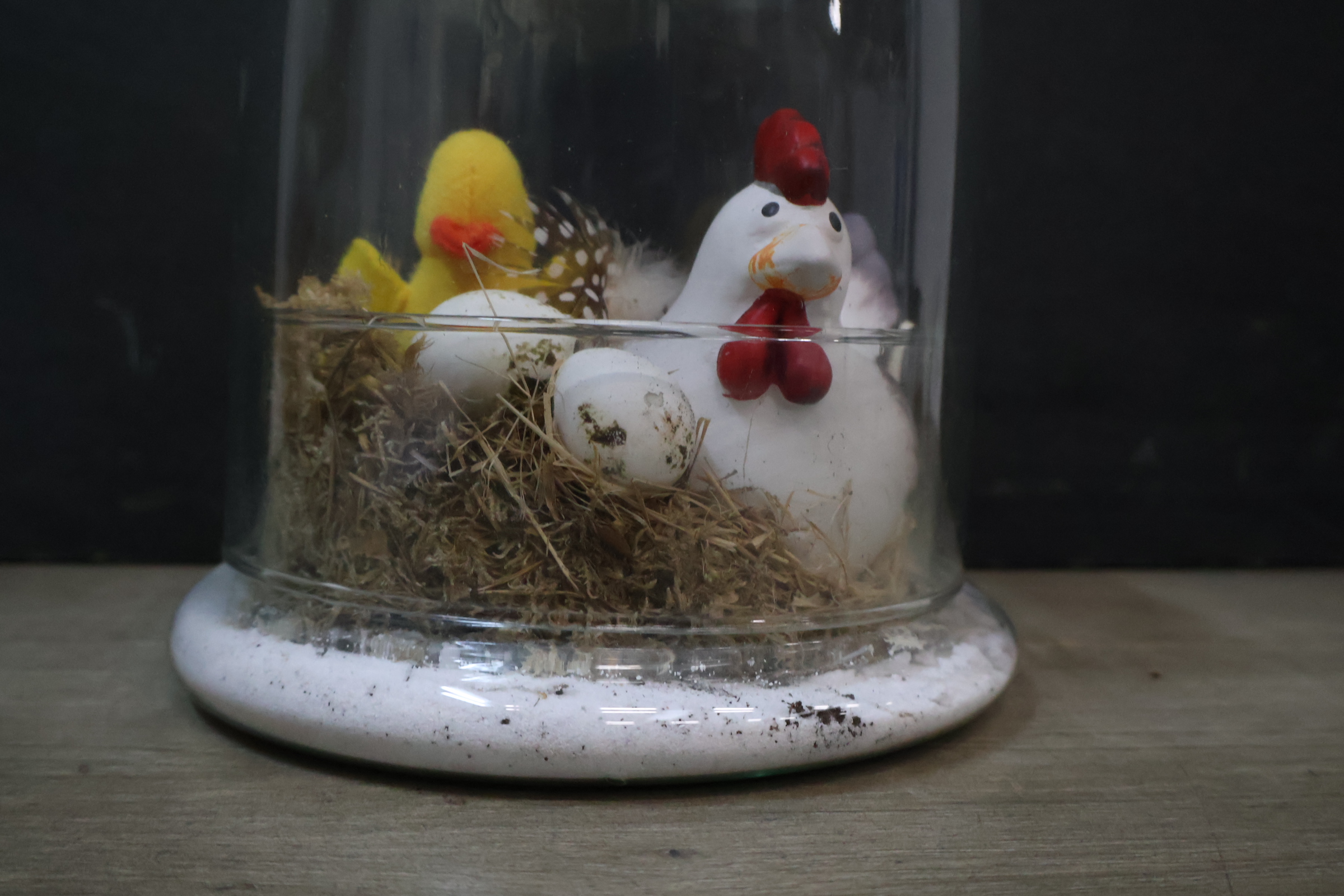 Decoratieve glazen stolp met kip en kuiken – foto 5 – kavel bij GSD Auctions, Zoeterwoude