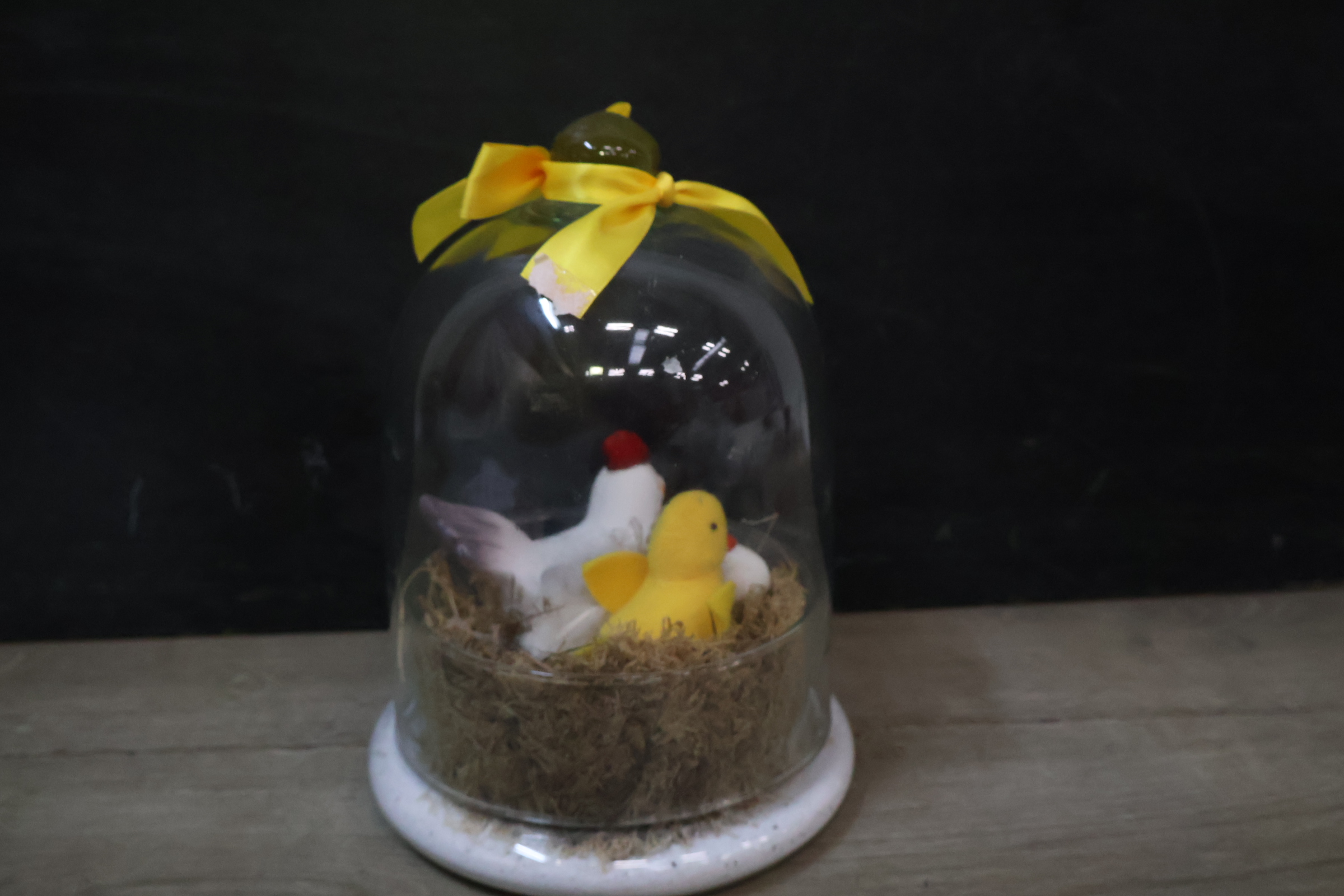 Decoratieve glazen stolp met kip en kuiken – foto 9 – kavel bij GSD Auctions, Zoeterwoude