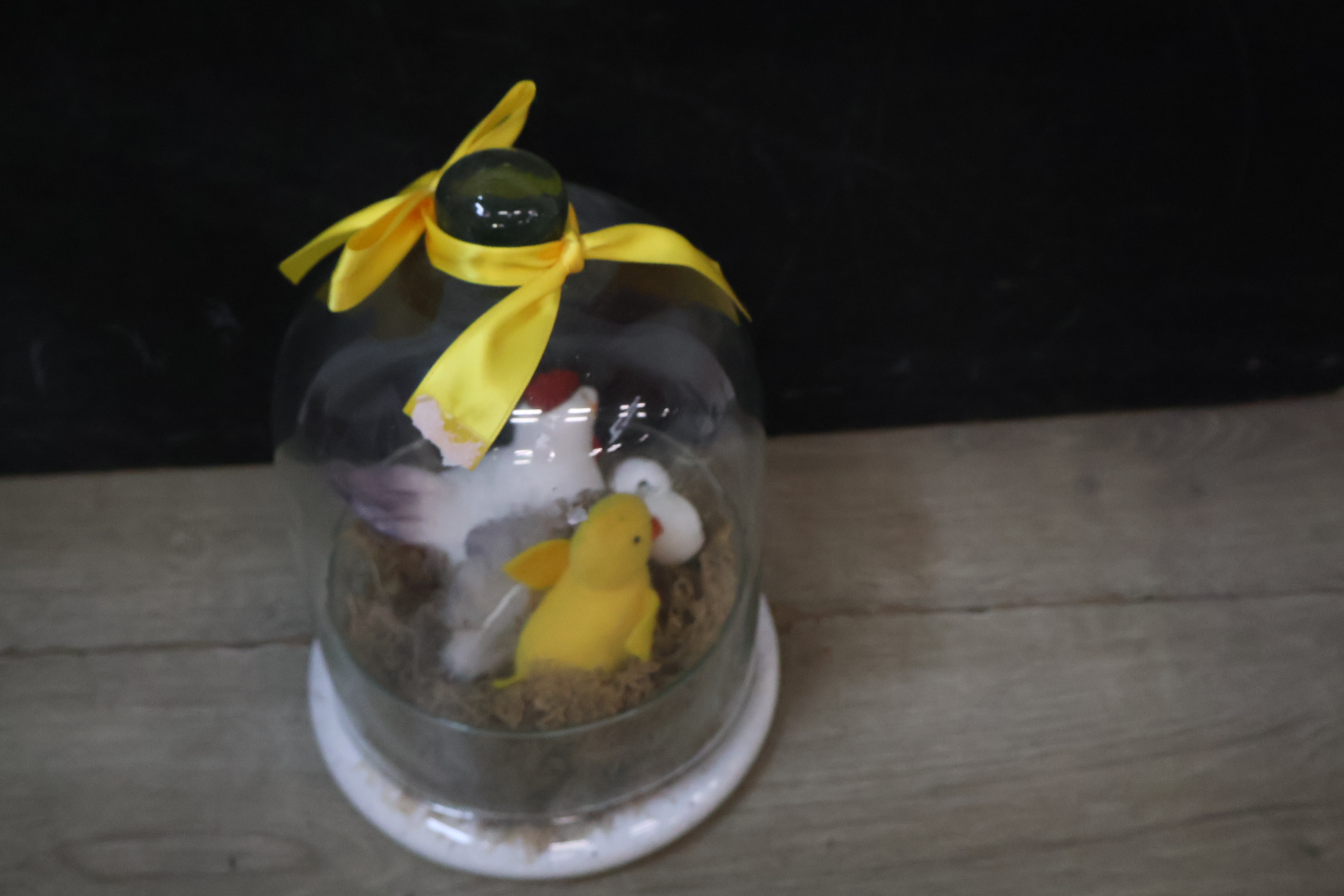 Decoratieve glazen stolp met kip en kuiken – foto 10 – kavel bij GSD Auctions, Zoeterwoude