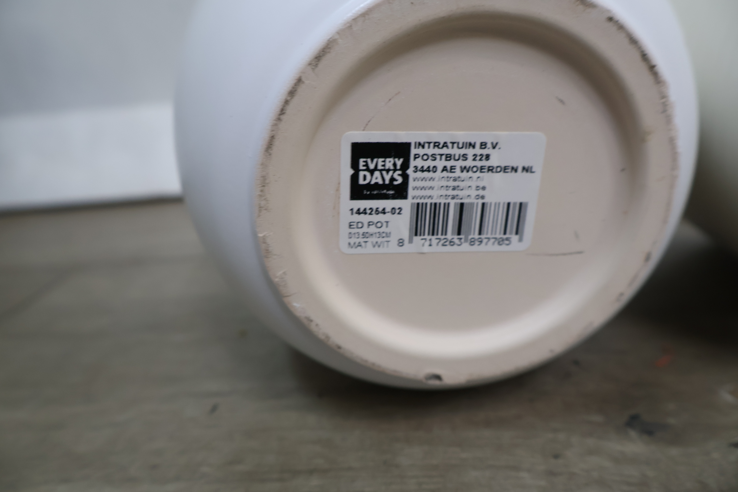 Twee kunstvarens in potten – foto 14 – kavel bij GSD Auctions, Zoeterwoude