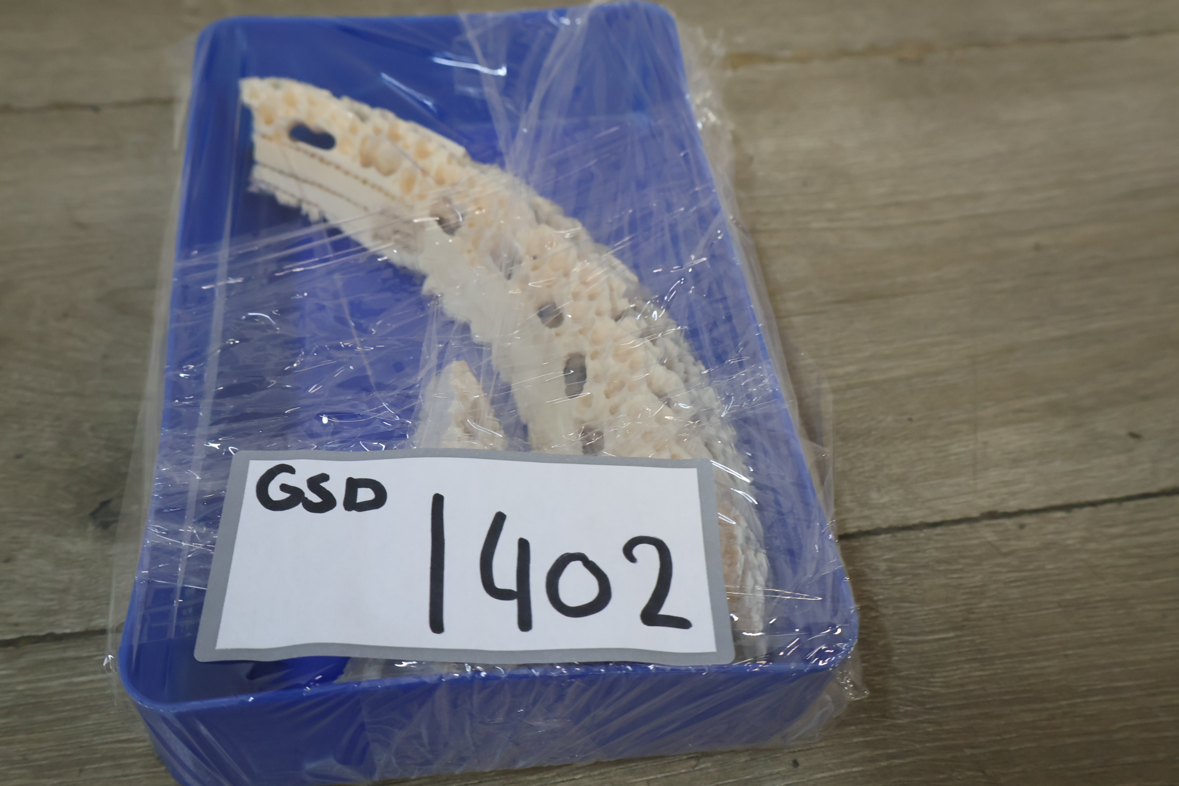 Gesneden been decoratie – foto 16 – kavel bij GSD Auctions, Zoeterwoude