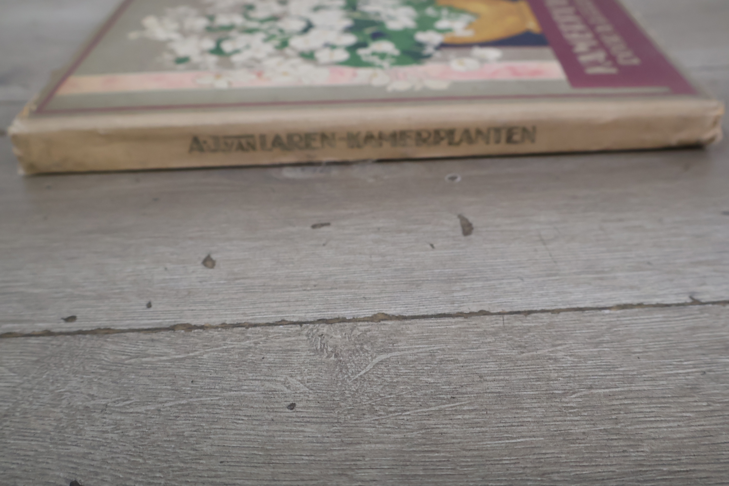 Boek 'Kamerplanten' door A.J. van Laren – foto 3 – kavel bij GSD Auctions, Zoeterwoude