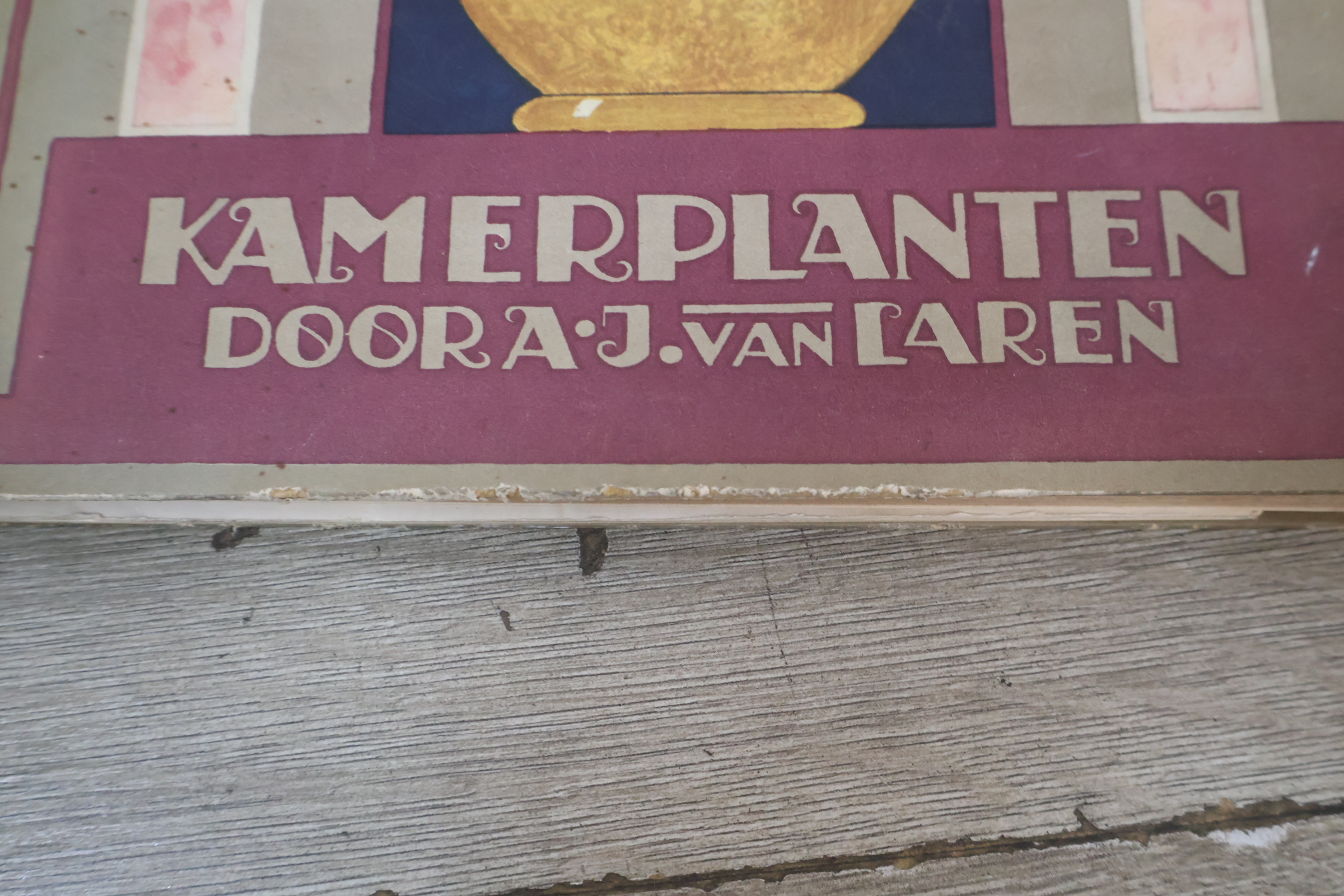 Boek 'Kamerplanten' door A.J. van Laren – foto 5 – kavel bij GSD Auctions, Zoeterwoude