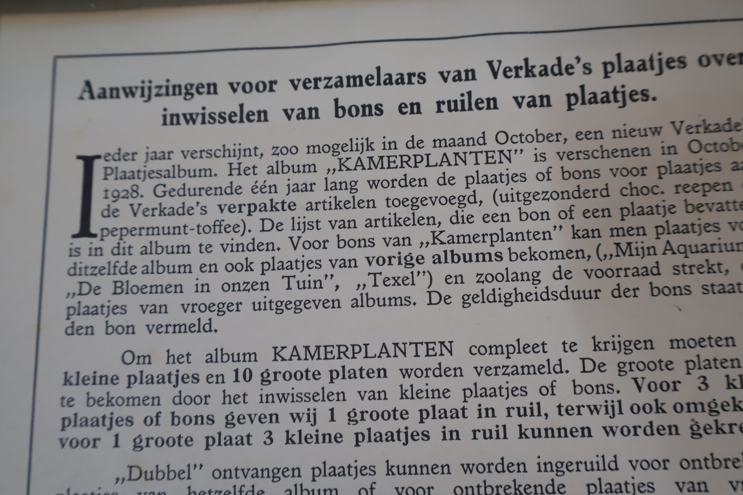 Boek 'Kamerplanten' door A.J. van Laren – foto 6 – kavel bij GSD Auctions, Zoeterwoude