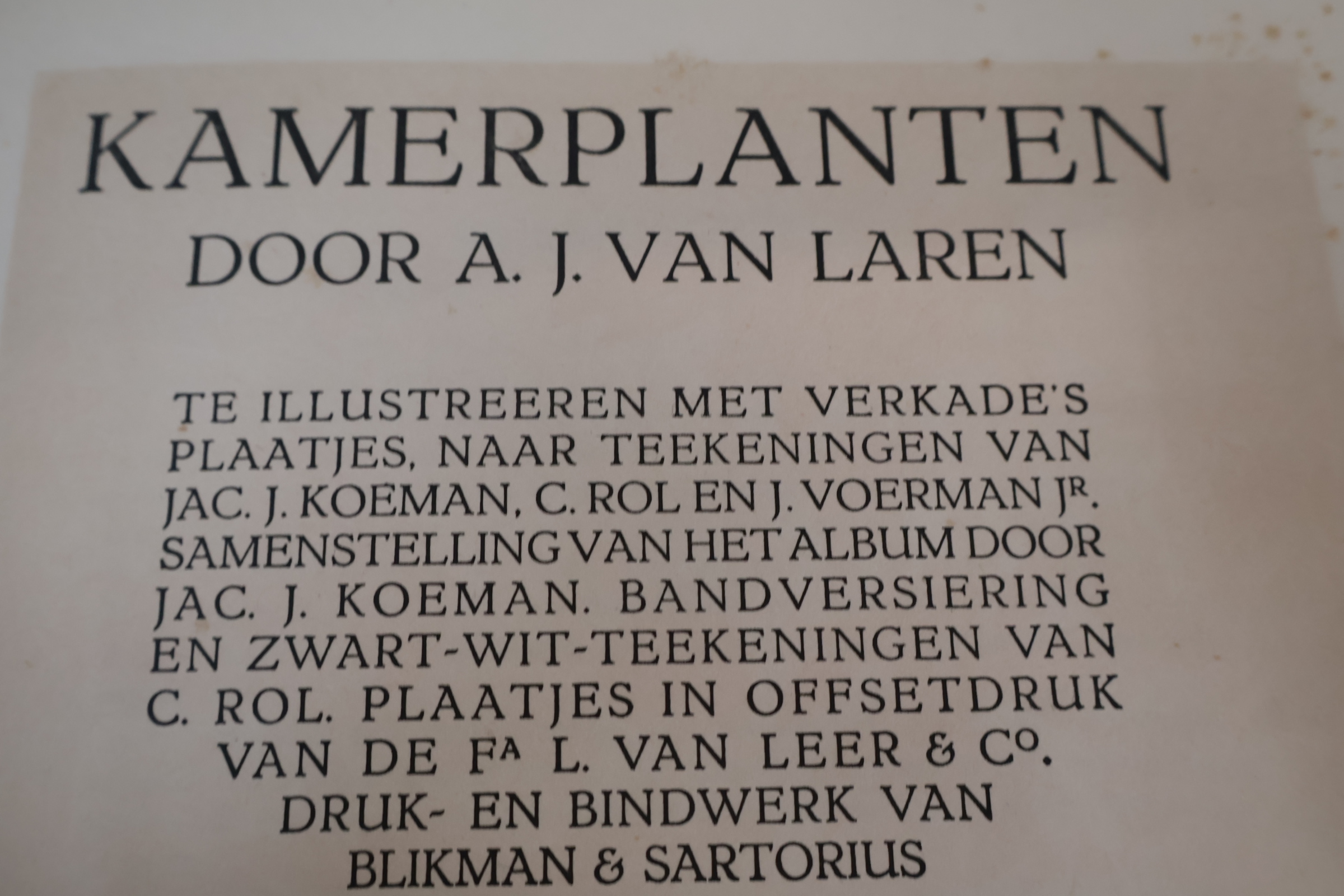 Boek 'Kamerplanten' door A.J. van Laren – foto 8 – kavel bij GSD Auctions, Zoeterwoude