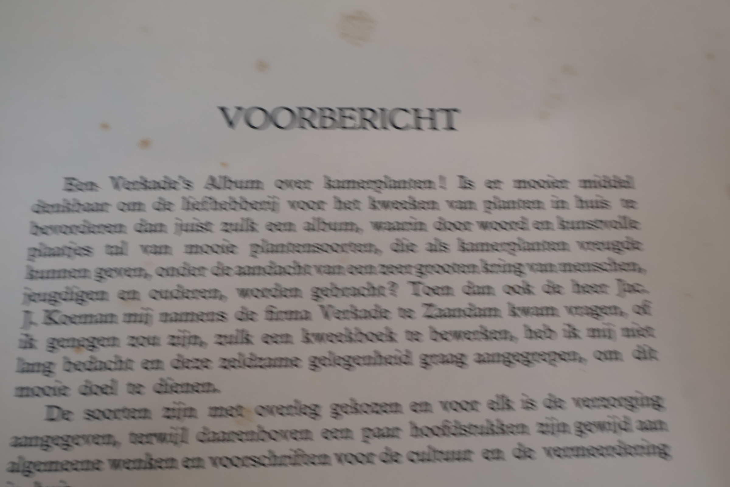 Boek 'Kamerplanten' door A.J. van Laren – foto 10 – kavel bij GSD Auctions, Zoeterwoude