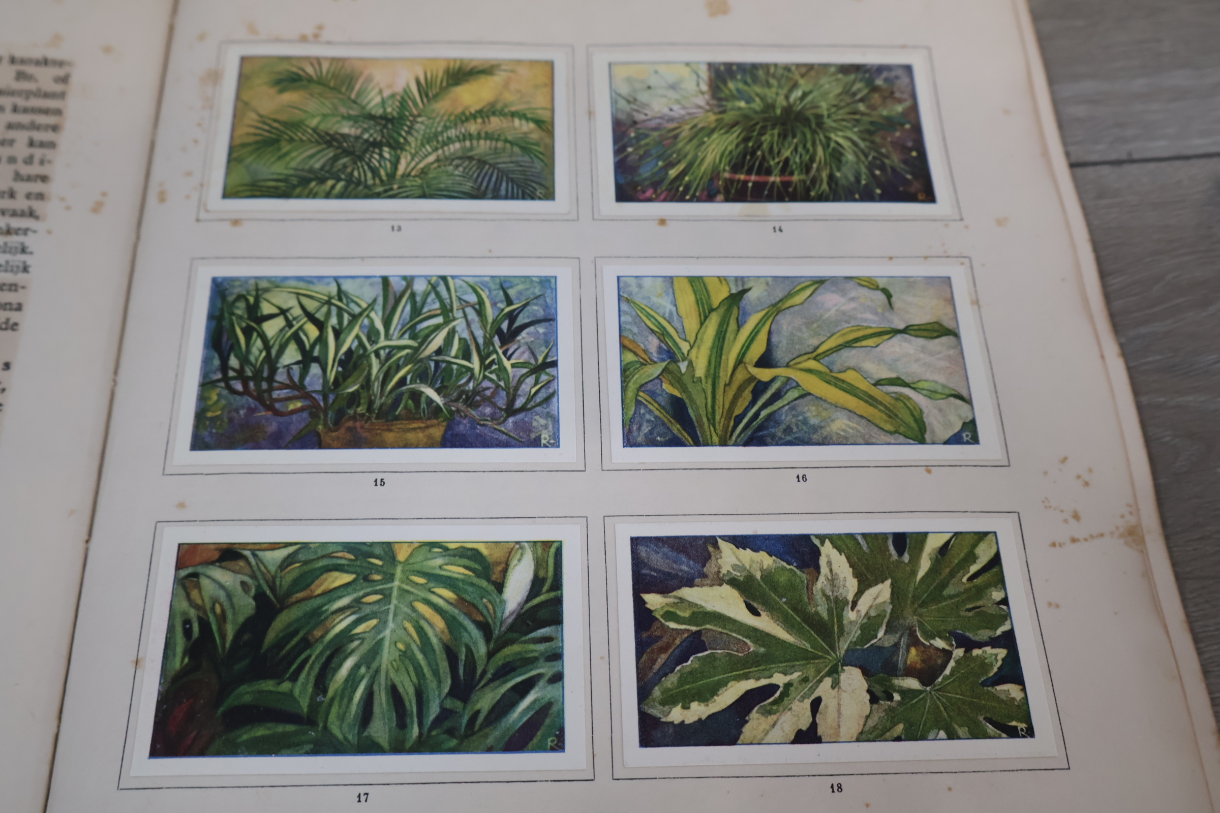 Boek 'Kamerplanten' door A.J. van Laren – foto 11 – kavel bij GSD Auctions, Zoeterwoude