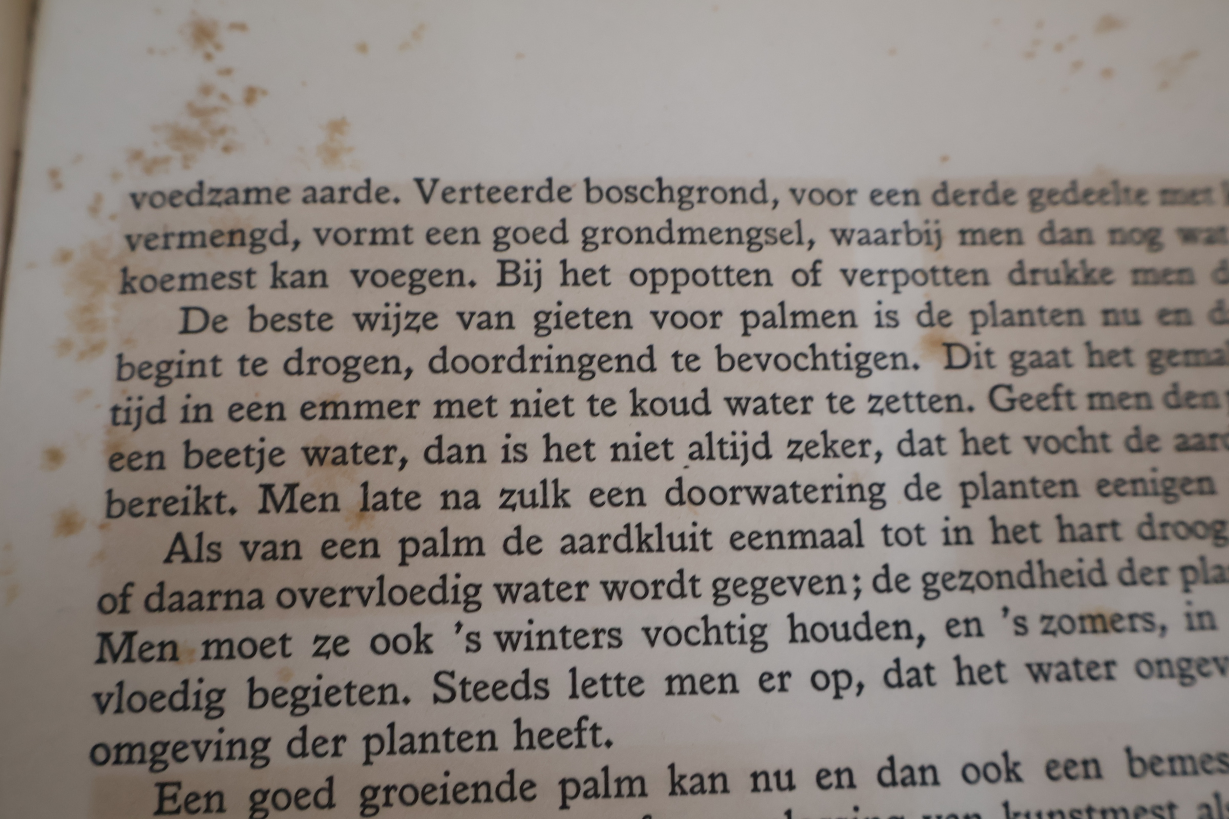 Boek 'Kamerplanten' door A.J. van Laren – foto 14 – kavel bij GSD Auctions, Zoeterwoude