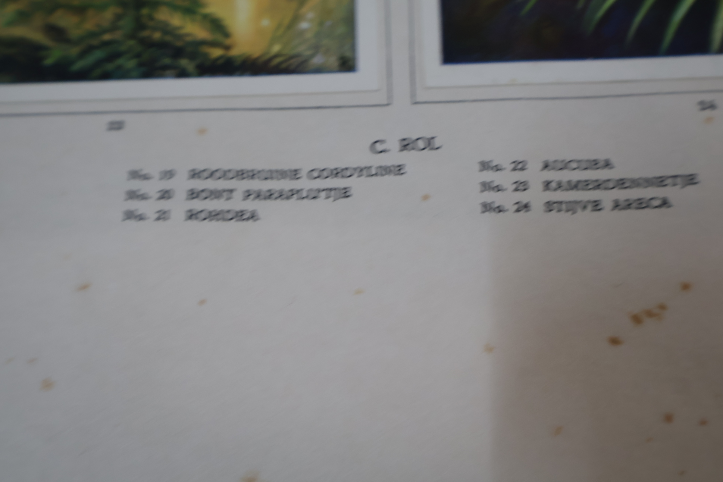Boek 'Kamerplanten' door A.J. van Laren – foto 15 – kavel bij GSD Auctions, Zoeterwoude