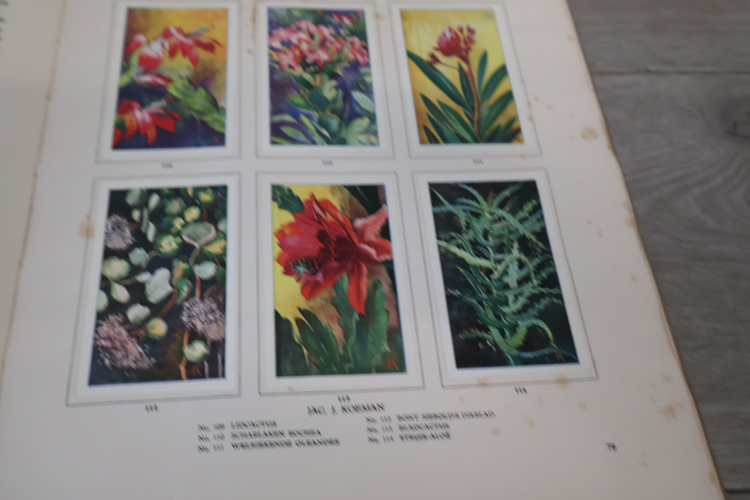 Boek 'Kamerplanten' door A.J. van Laren – foto 20 – kavel bij GSD Auctions, Zoeterwoude
