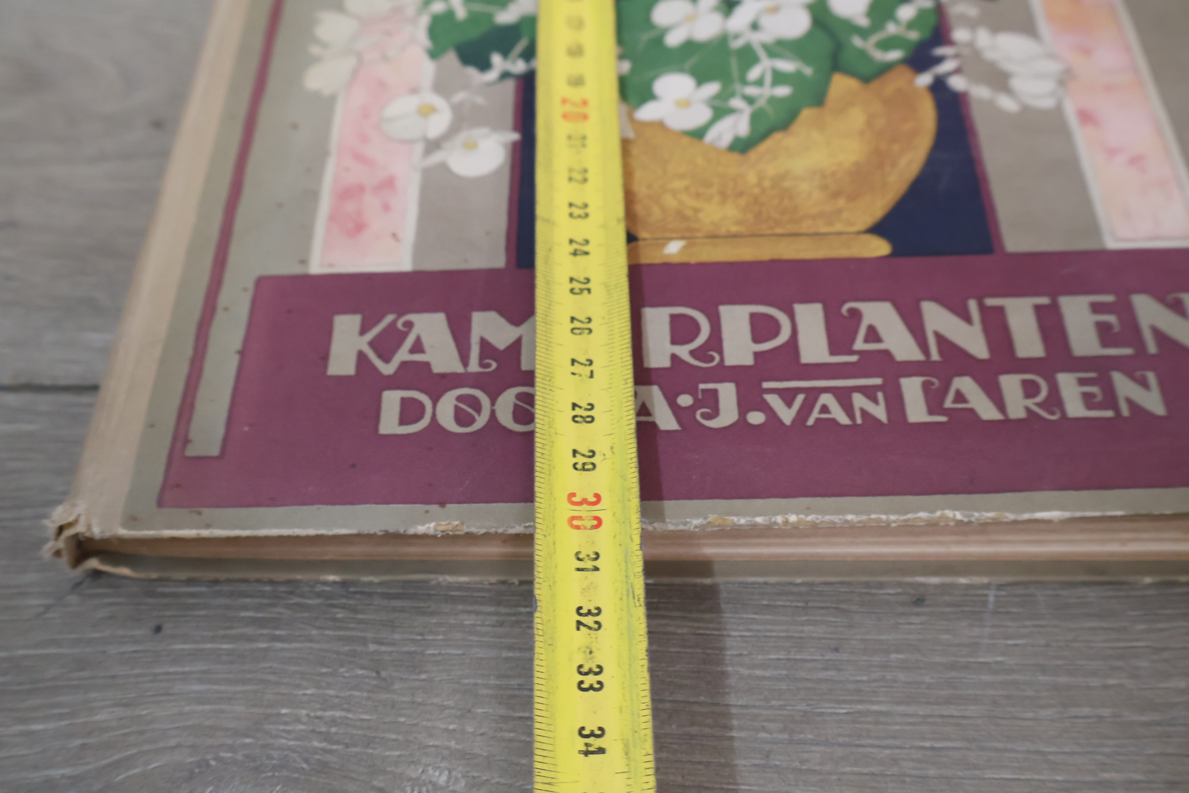 Boek 'Kamerplanten' door A.J. van Laren – foto 21 – kavel bij GSD Auctions, Zoeterwoude