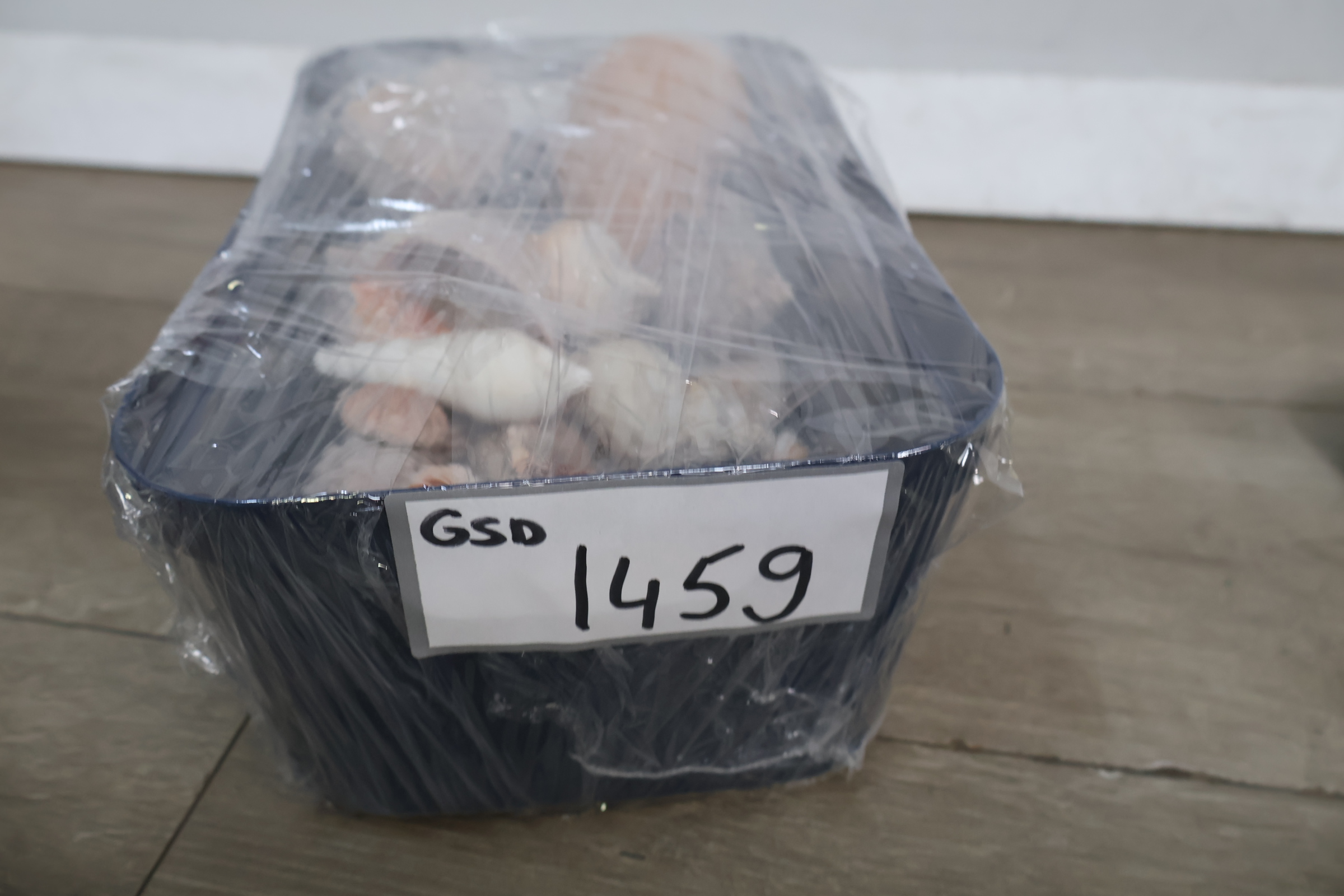 Set diverse schelpen – foto 19 – kavel bij GSD Auctions, Zoeterwoude