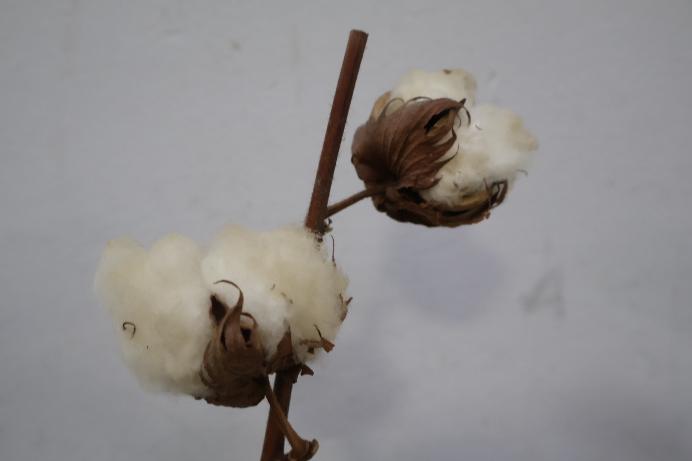 Keramische vaas met bloemenmotief – foto 4 – kavel bij GSD Auctions, Zoeterwoude