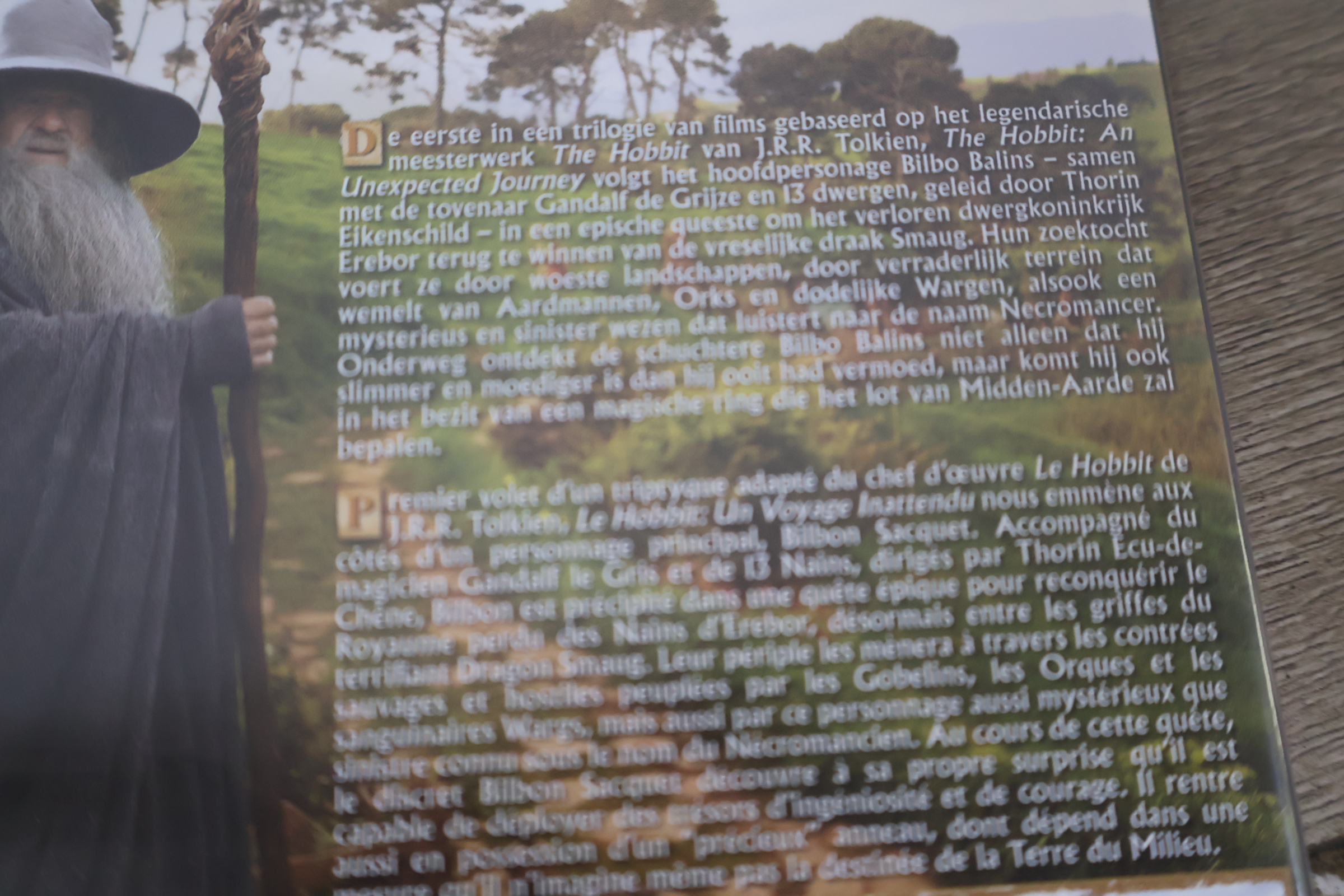 The Hobbit DVD boxset trilogie – foto 10 – kavel bij GSD Auctions, Zoeterwoude