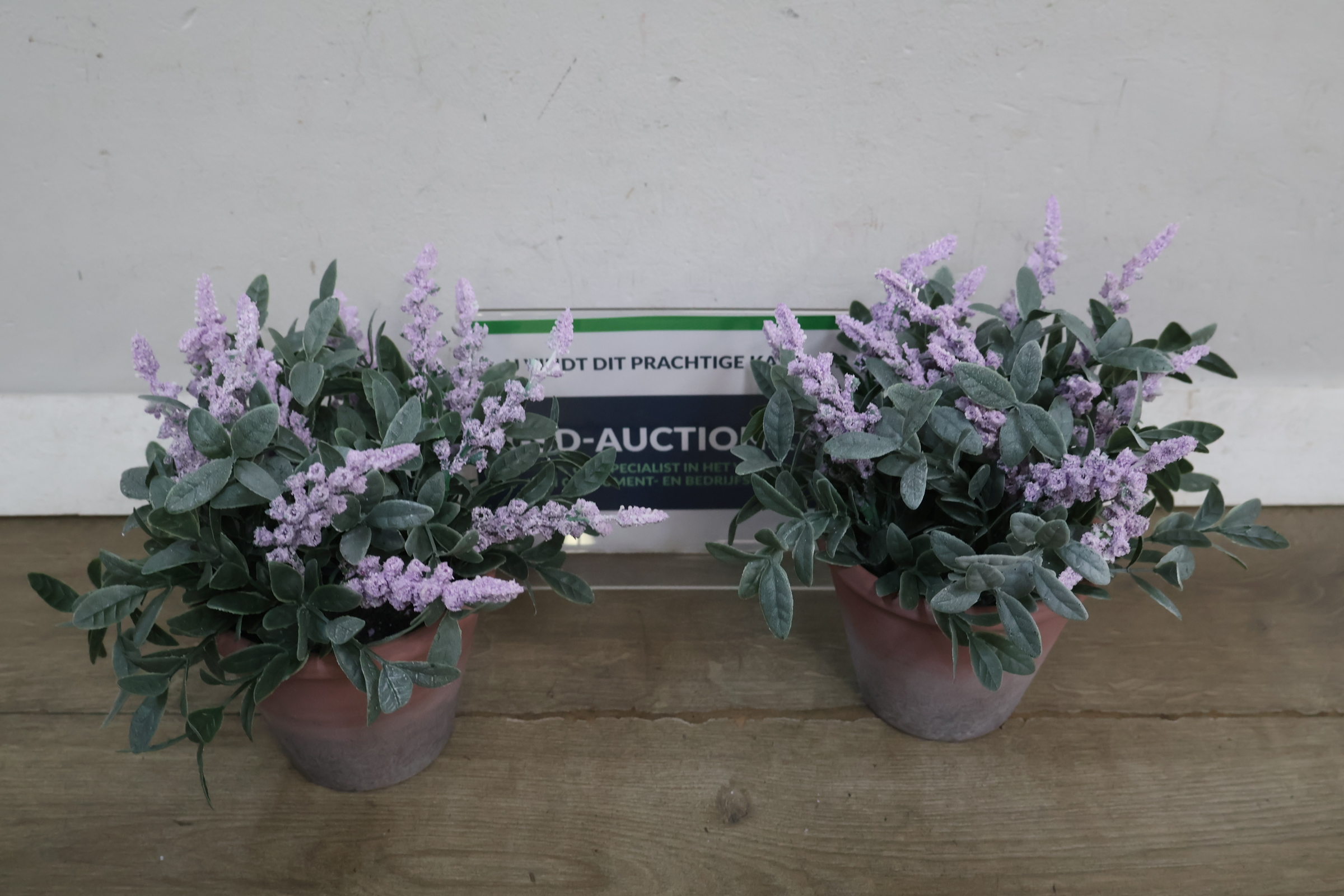 Set van twee kunstplanten – foto 2 – kavel bij GSD Auctions, Zoeterwoude