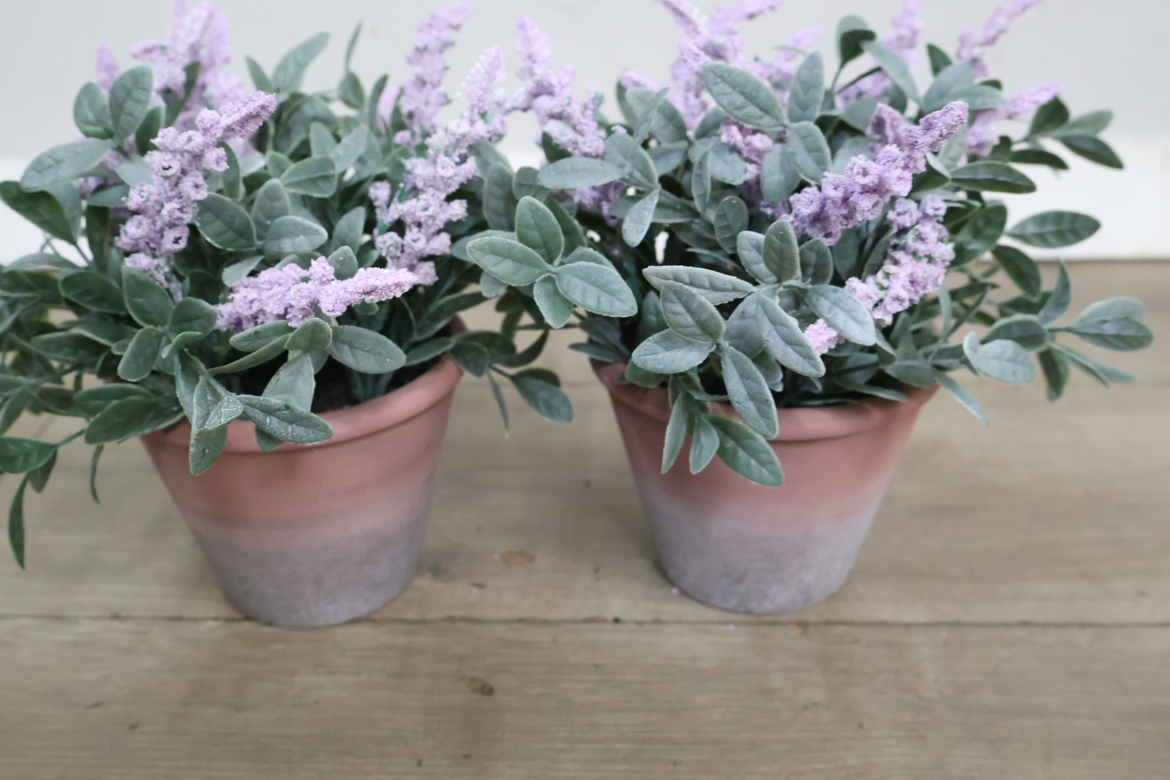 Set van twee kunstplanten – foto 3 – kavel bij GSD Auctions, Zoeterwoude