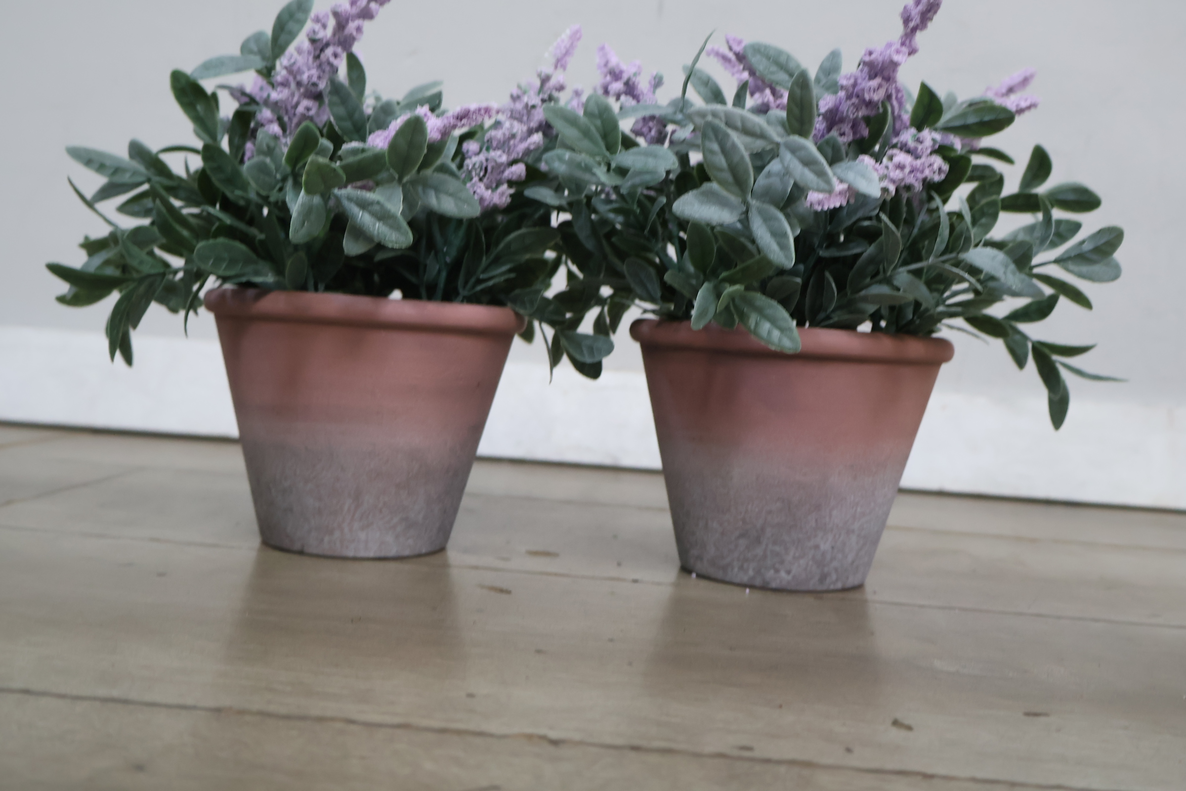 Set van twee kunstplanten – foto 5 – kavel bij GSD Auctions, Zoeterwoude