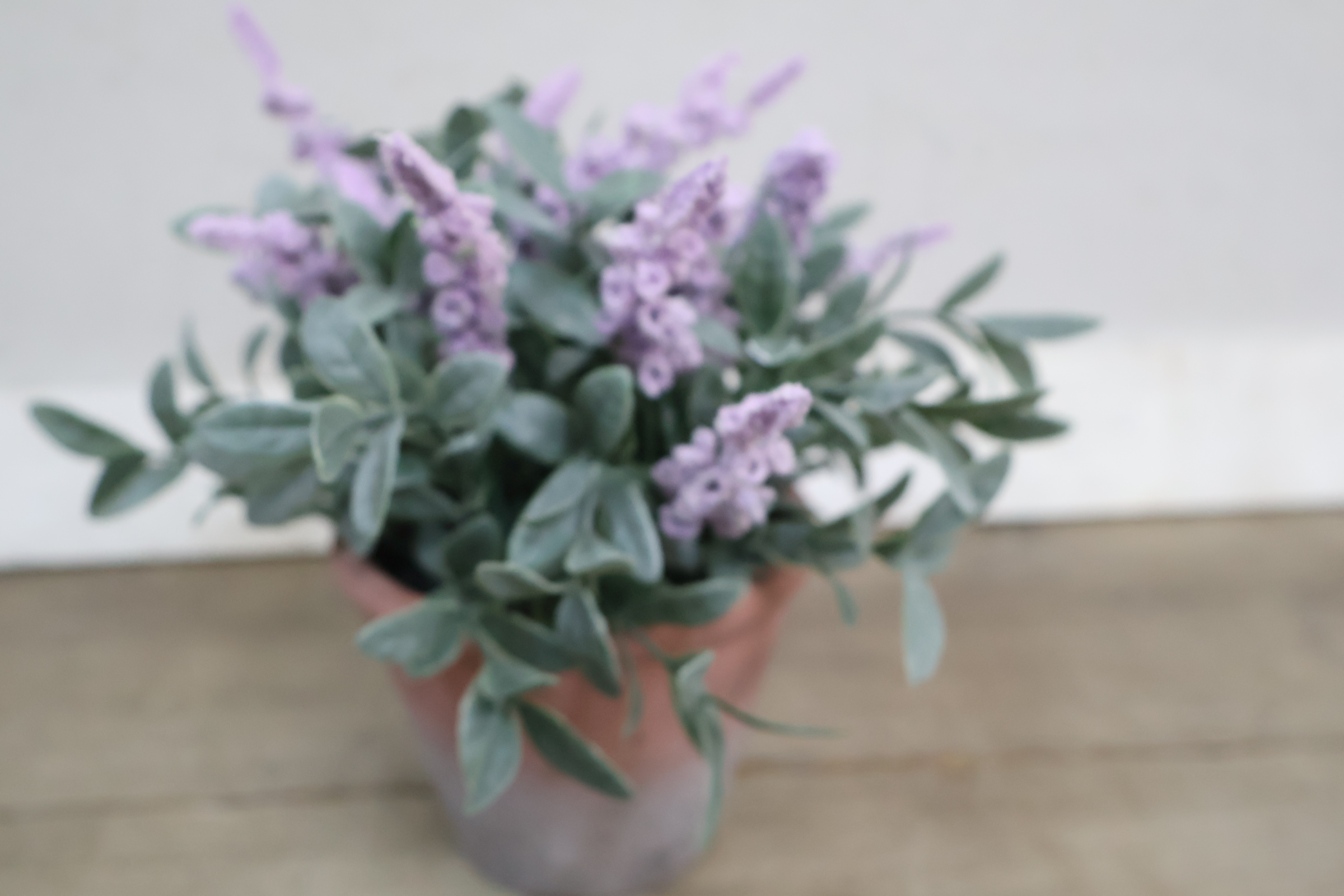 Set van twee kunstplanten – foto 8 – kavel bij GSD Auctions, Zoeterwoude