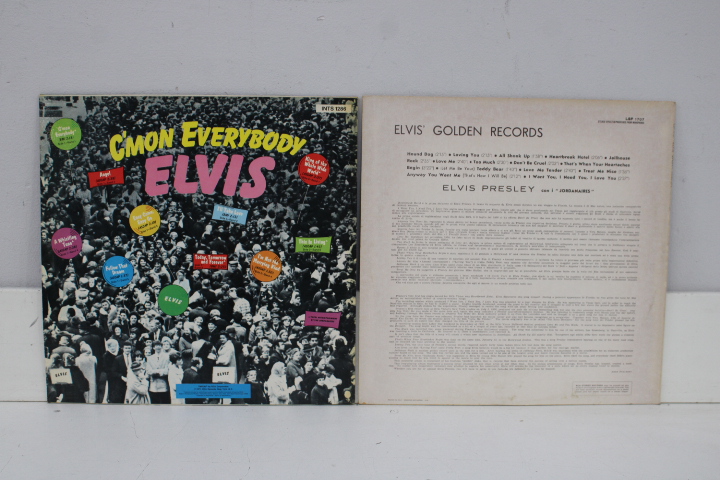 Elvis Presley Vinyl LP's - Set van 10 – foto 18 – kavel bij GSD Auctions, Zoeterwoude